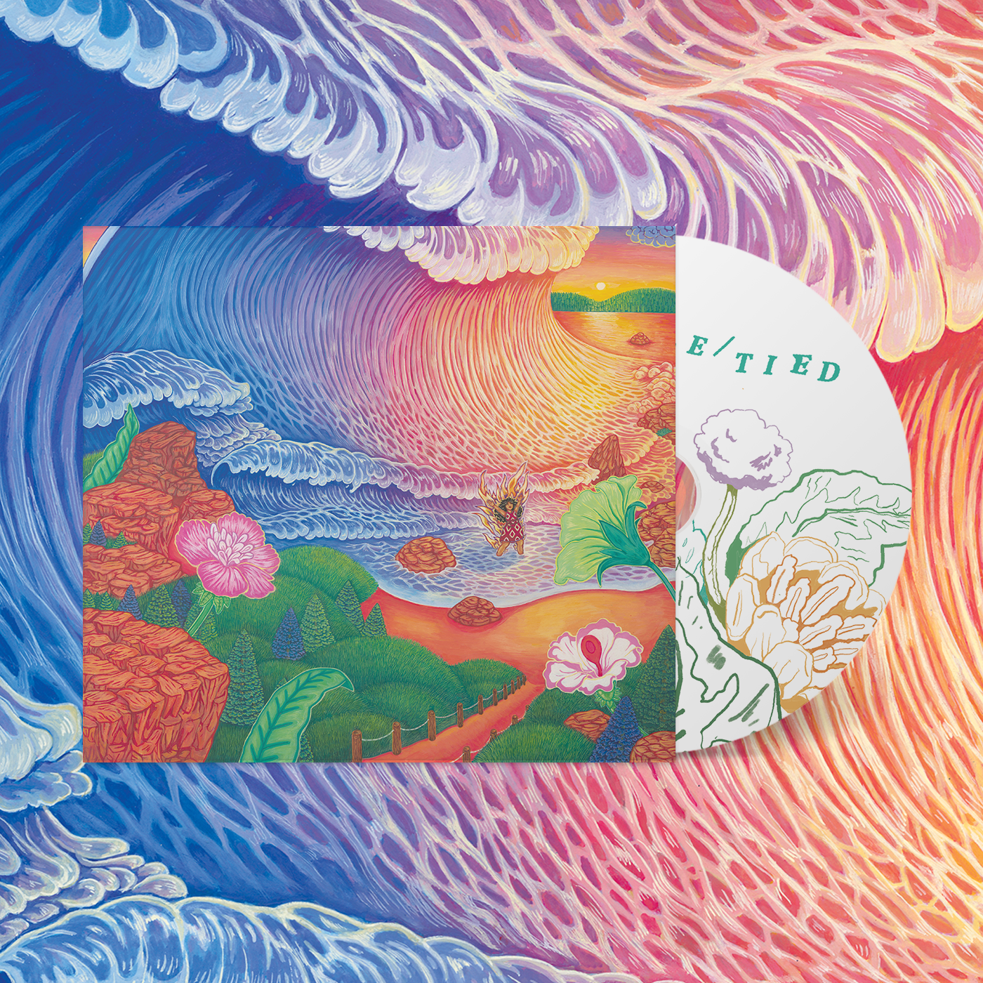 Product shots of Thanya Iyer - TIDE/TIED