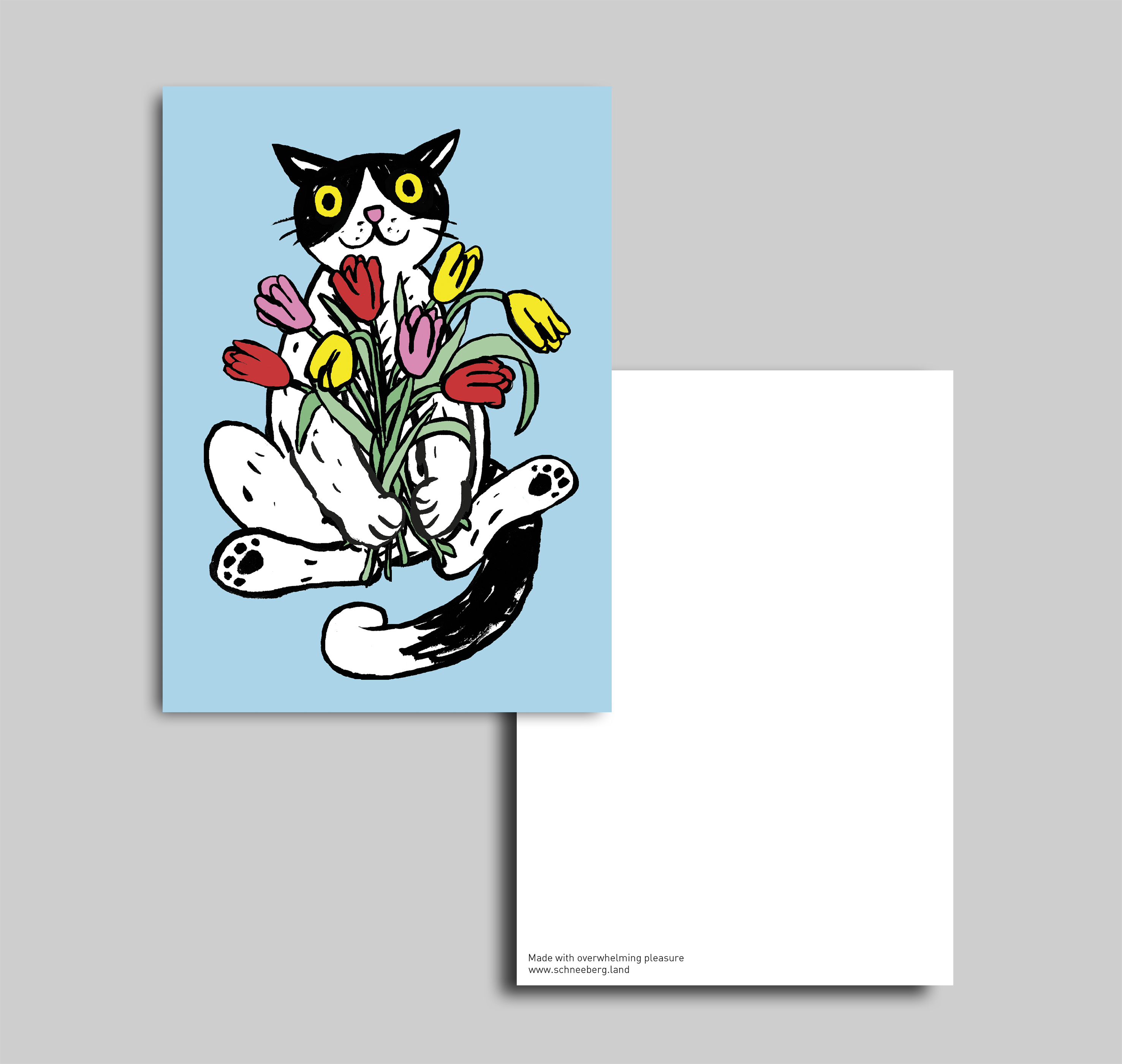 Postcard 