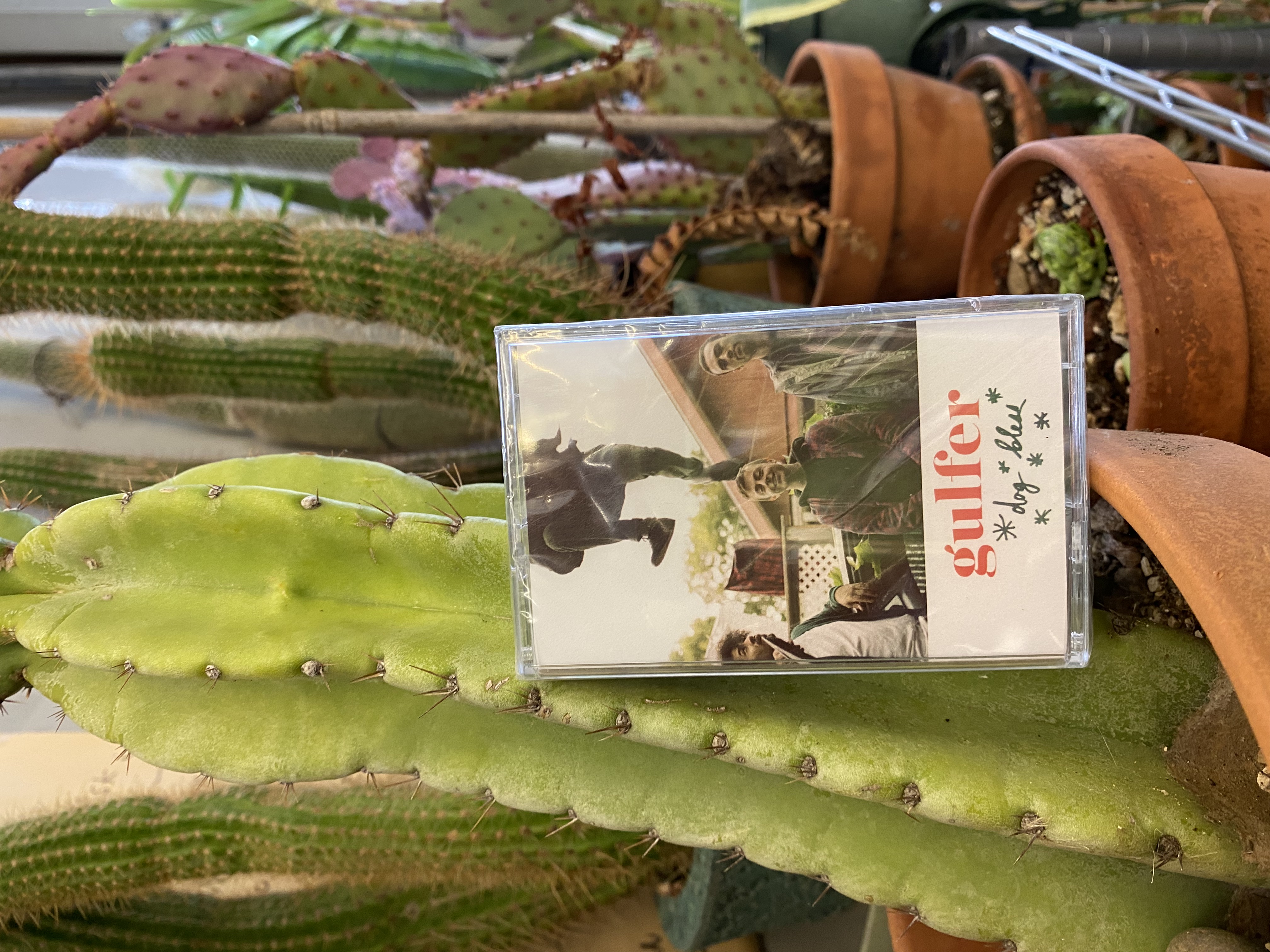 Product shots of Gulfer - Dog Bless