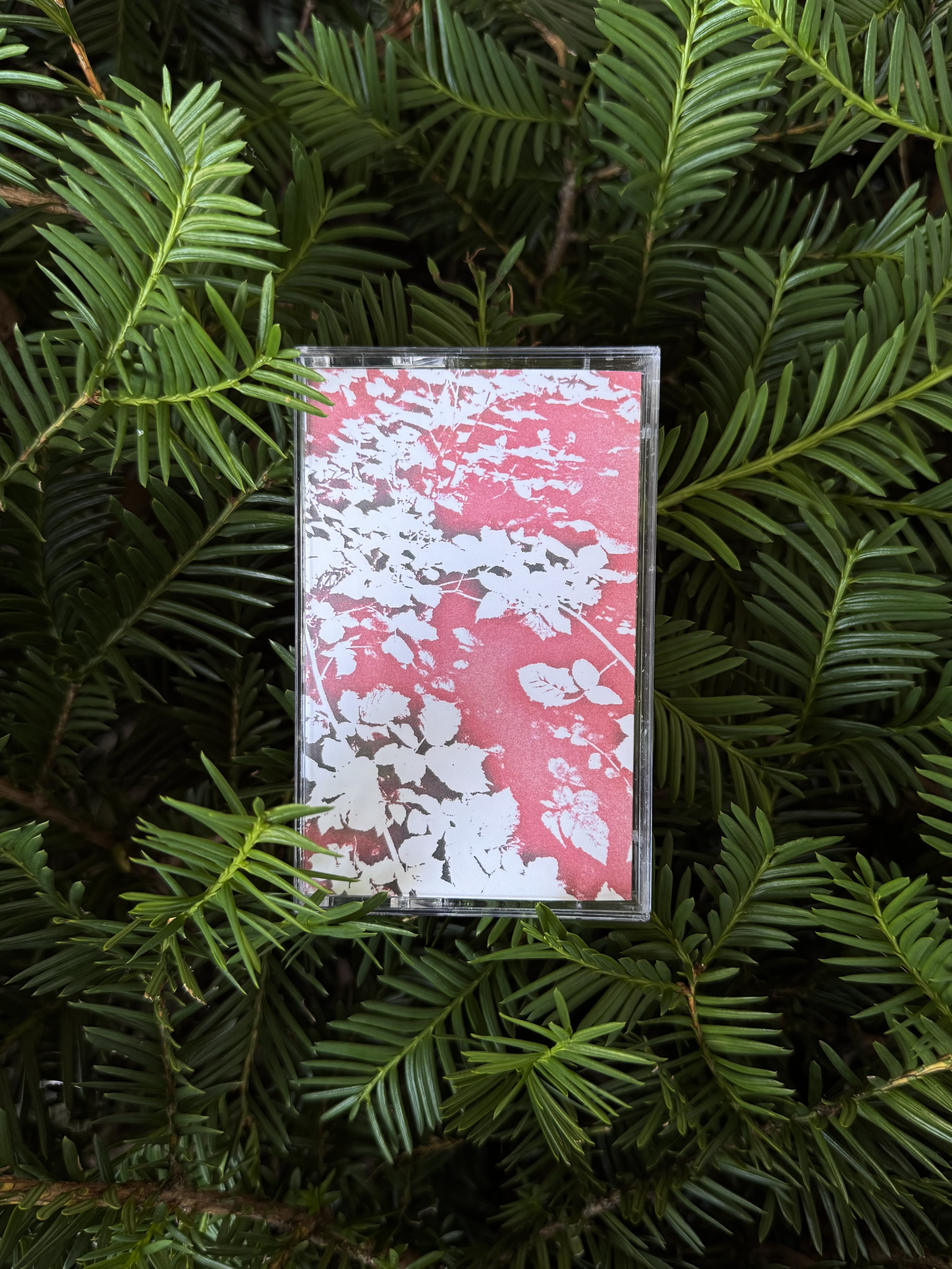 th60 home is in your arms // -