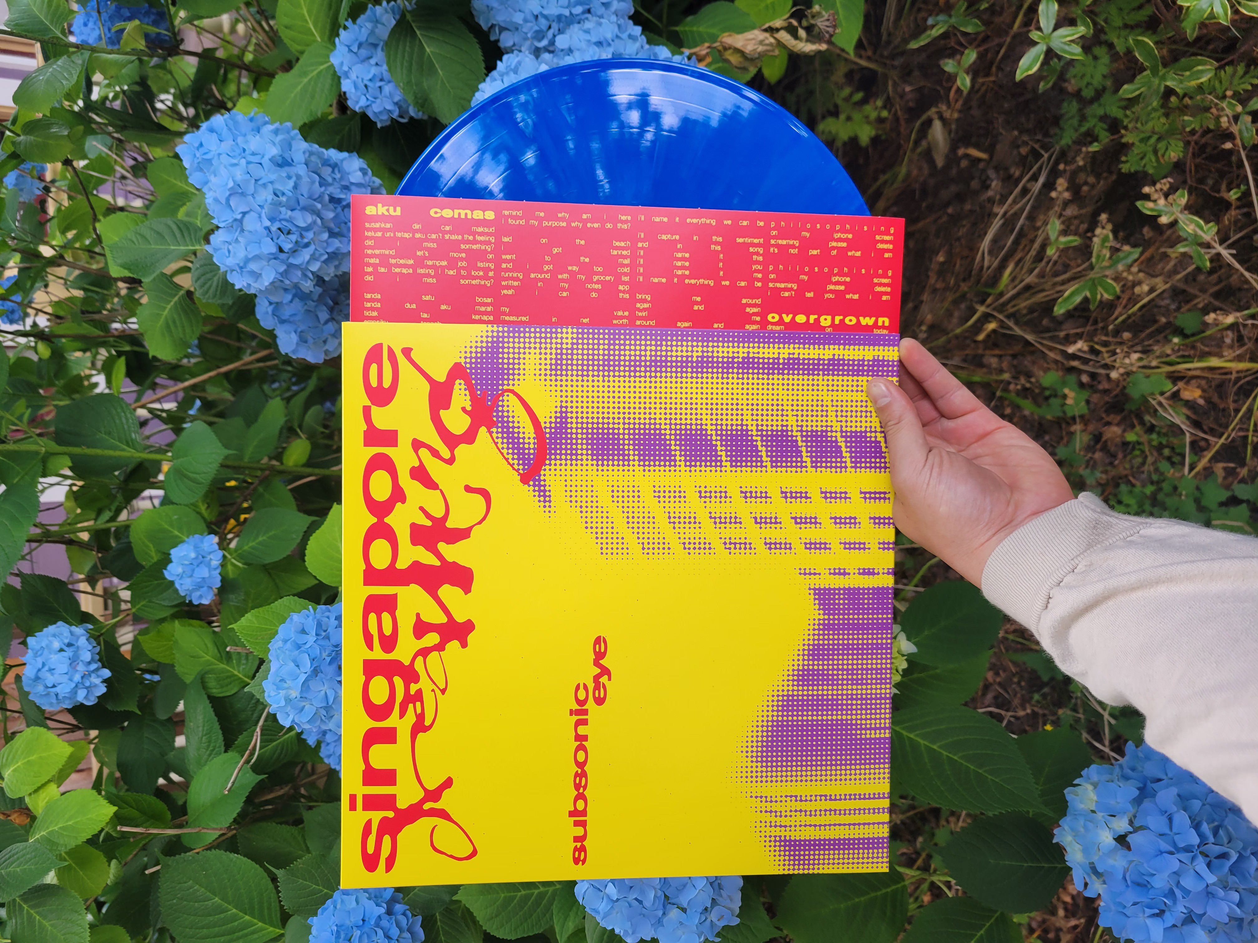 Product shots of Subsonic Eye - Singapore Dreaming