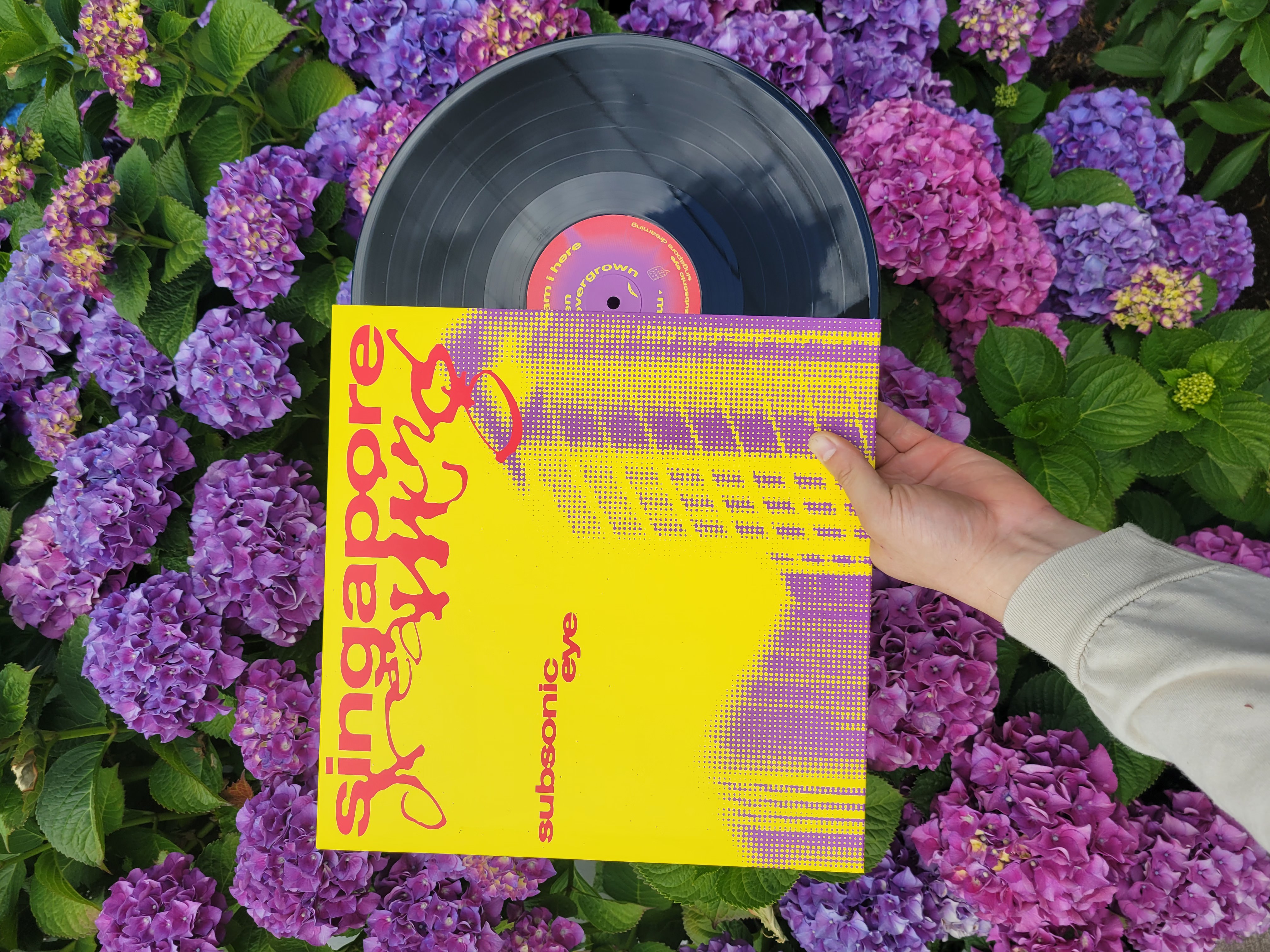 Product shots of Subsonic Eye - Singapore Dreaming