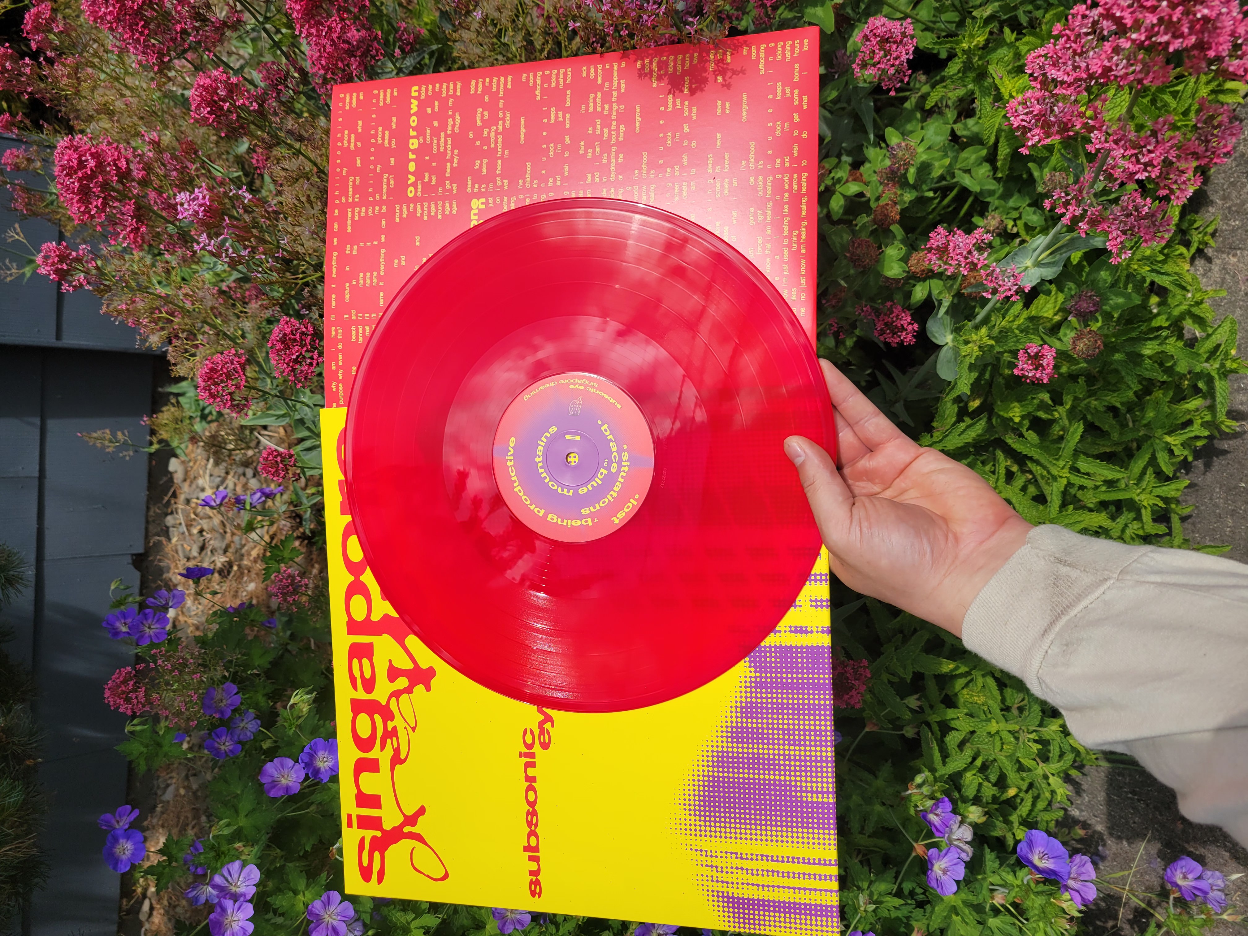 Product shots of Subsonic Eye - Singapore Dreaming