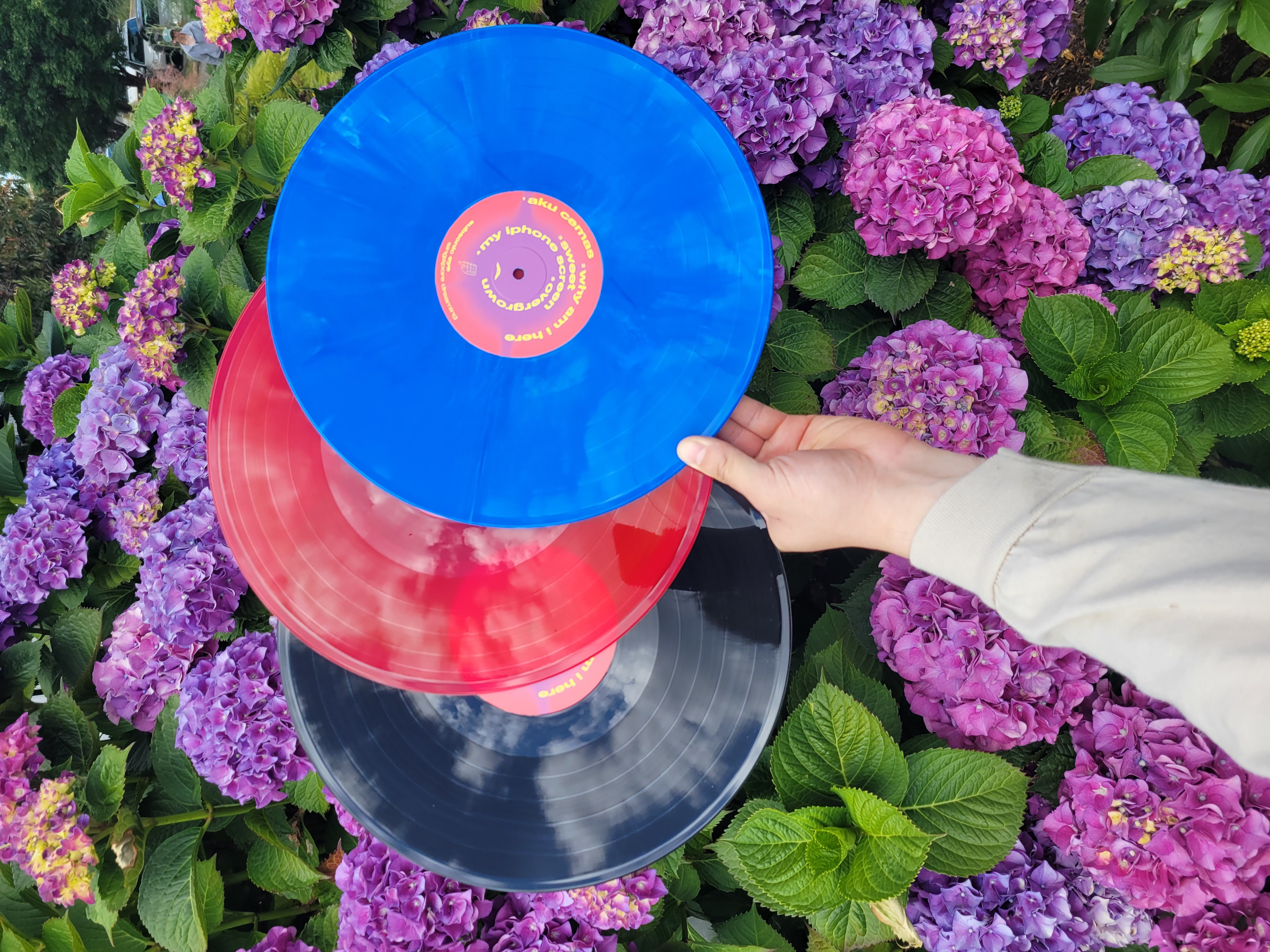 Product shots of Subsonic Eye - Singapore Dreaming