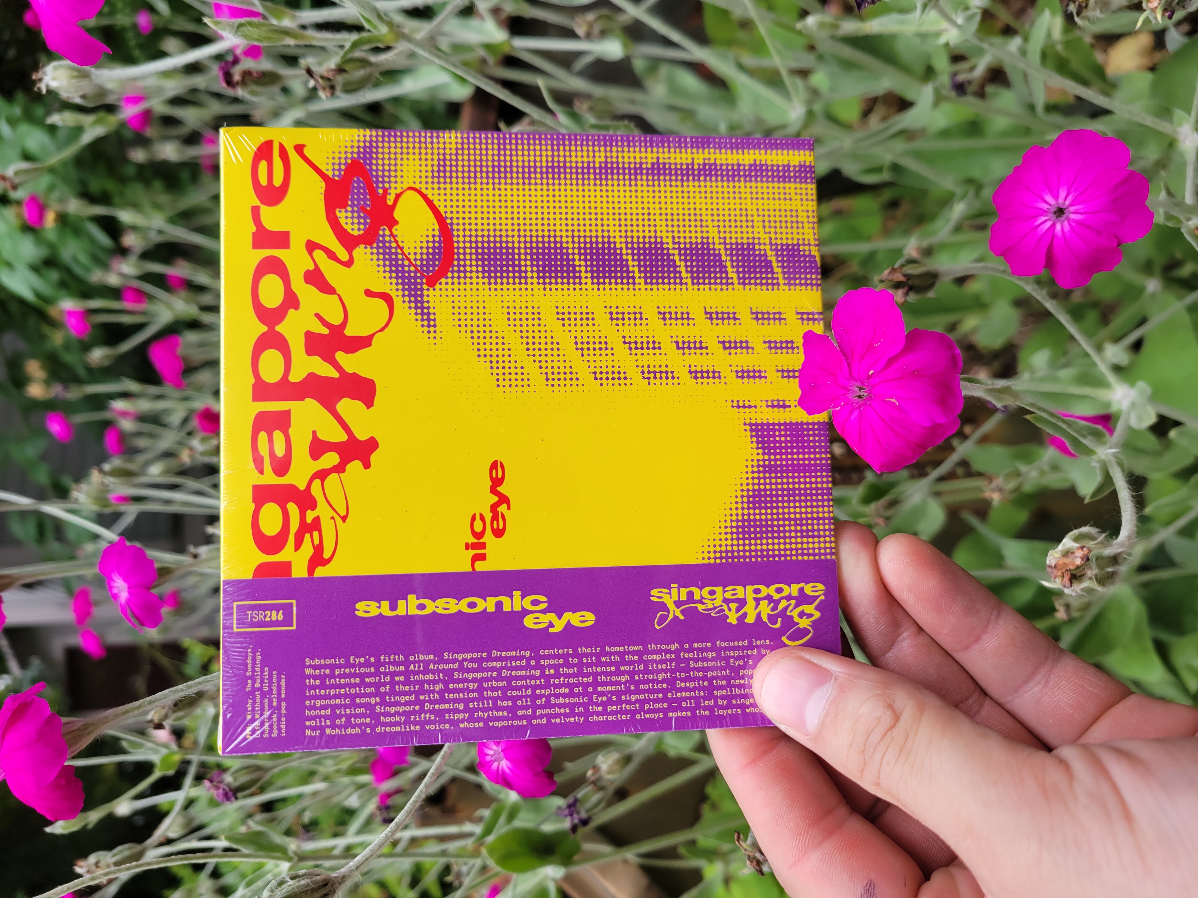 Product shots of Subsonic Eye - Singapore Dreaming