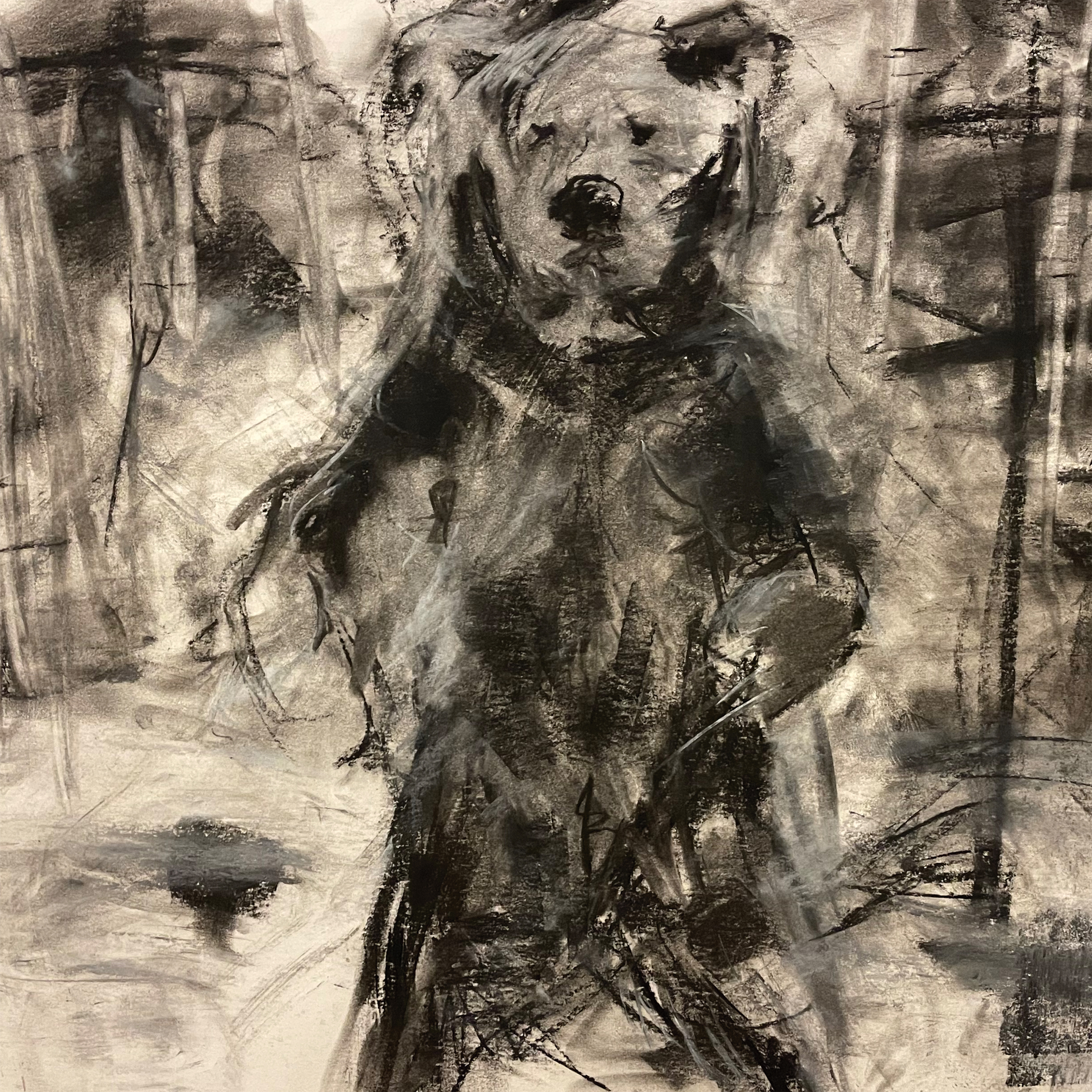 The Spookfish - Bear in the Snow