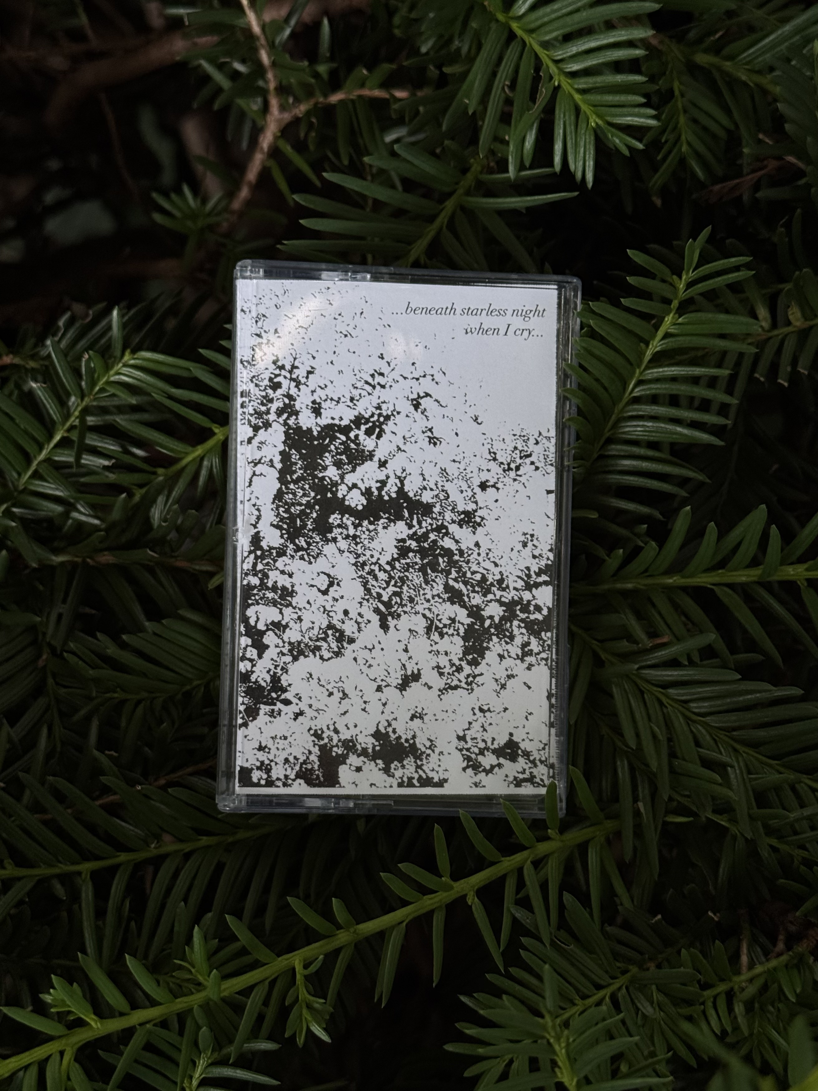 th63 …beneath starless night // when I cry…