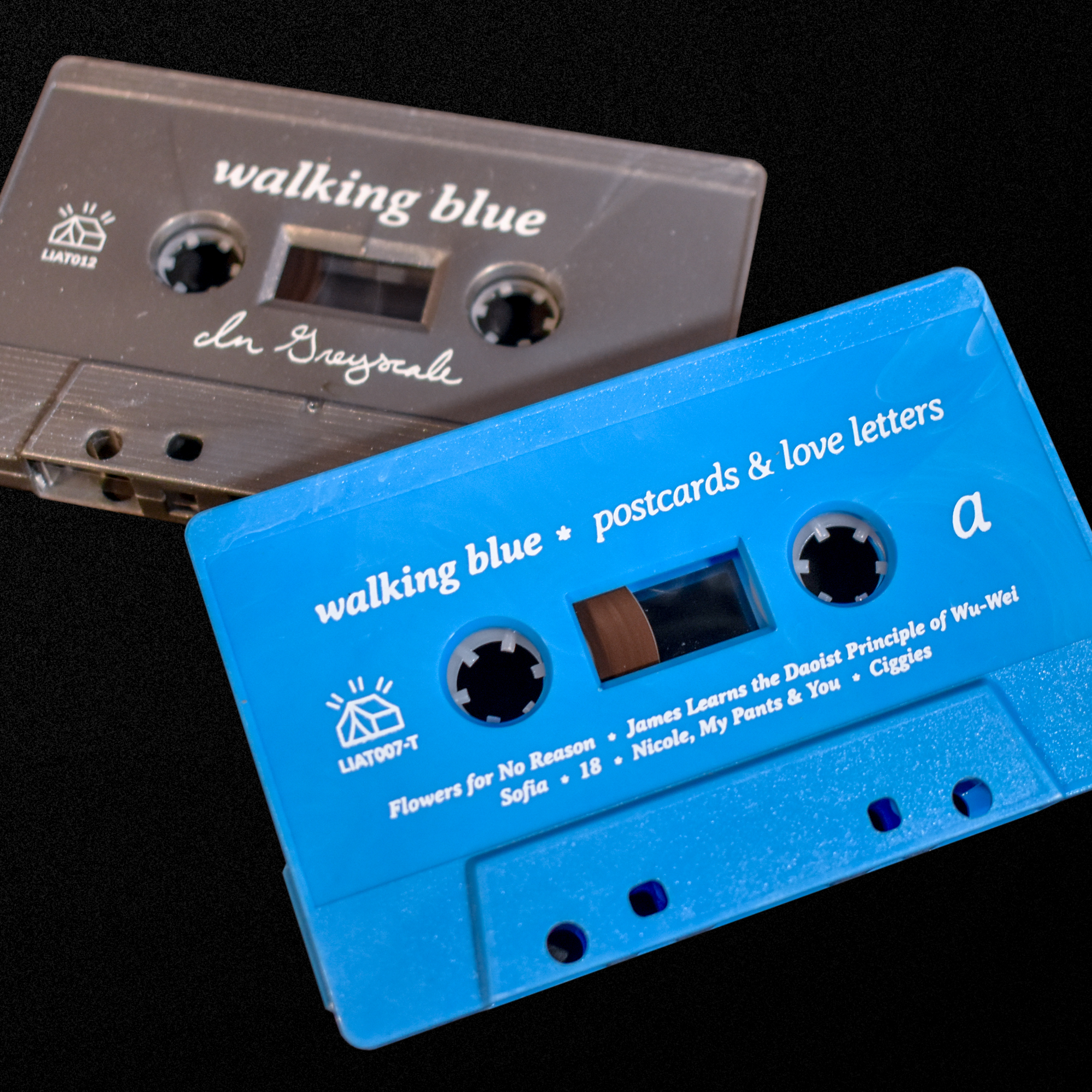 Walking Blue Bundle
