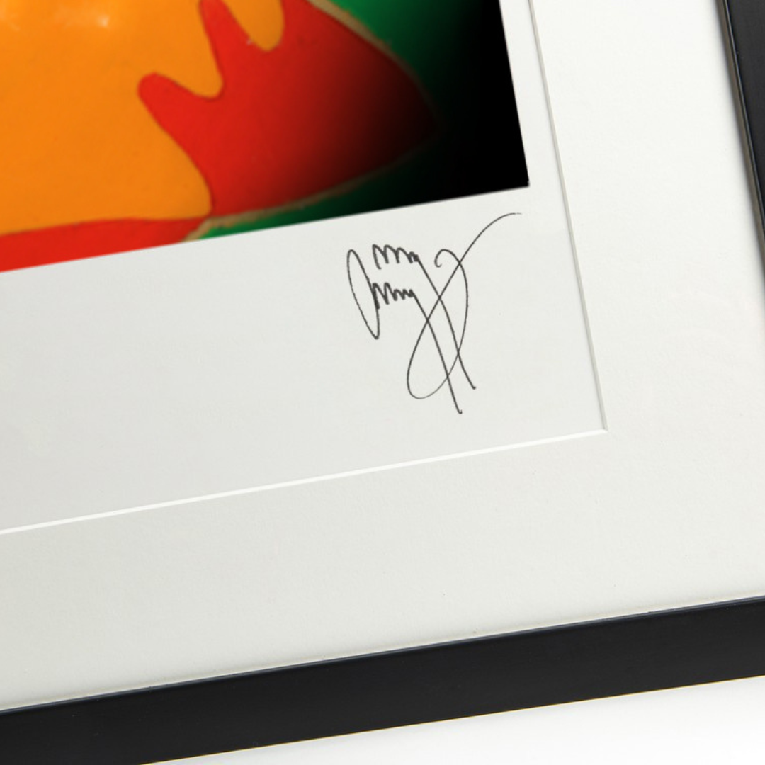 Fine Art Photographic Print: 'Dragon' Telecaster & Violin Bow (The Anthology)