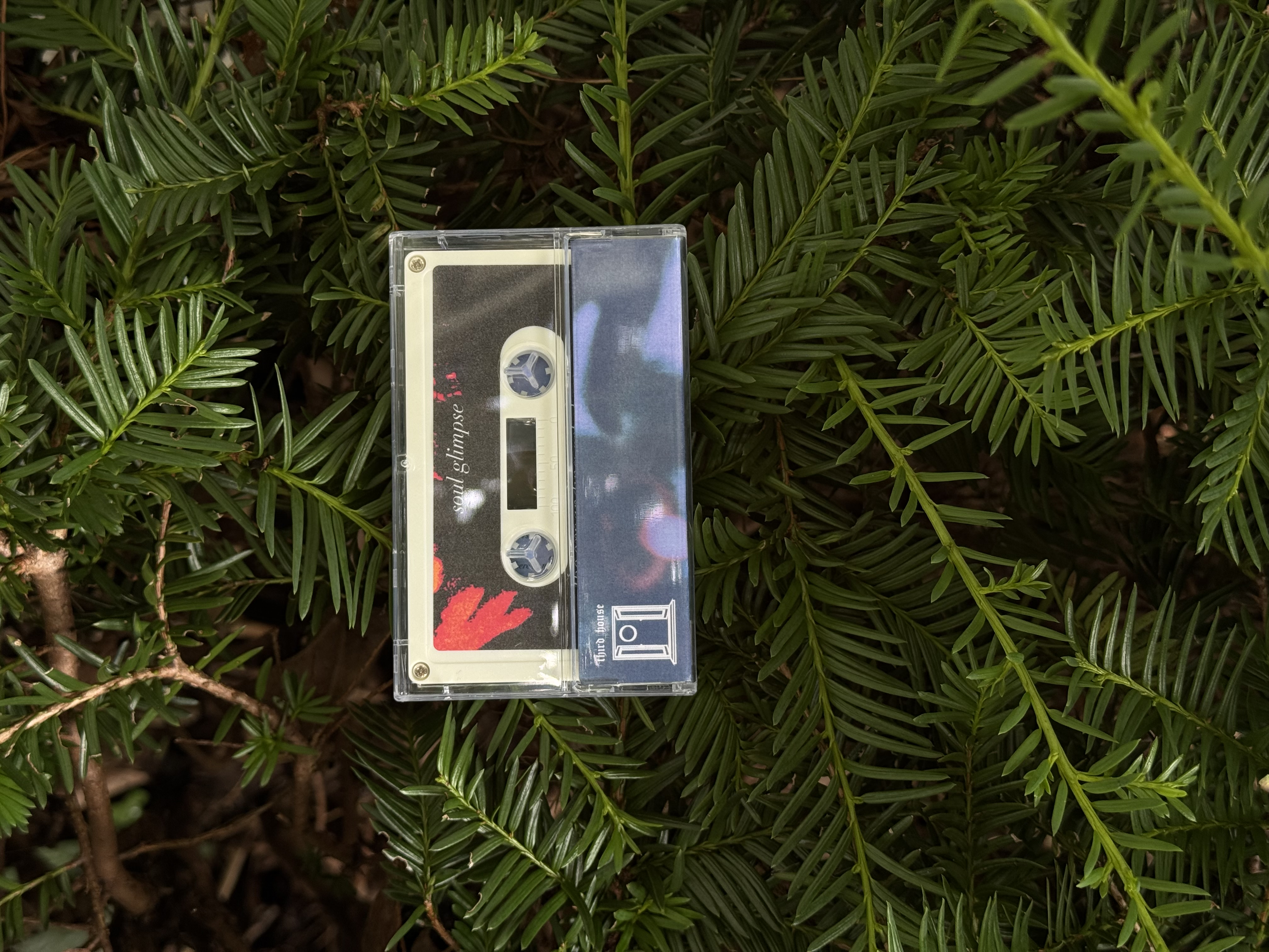 th65 Soul Glimpse // The Expanding Art of Sorrows