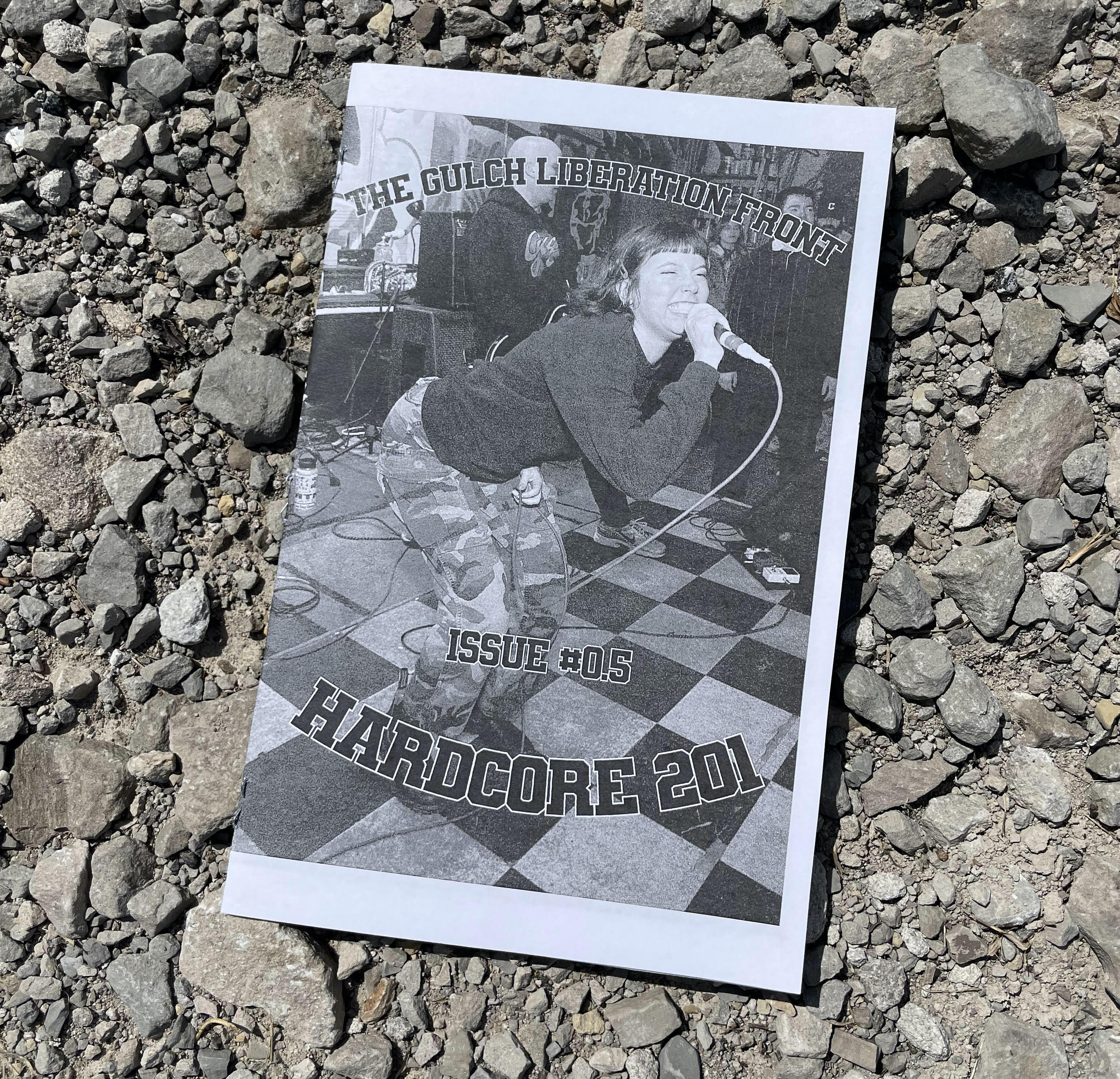 The Gulch Liberation Front - Issue #0.5 - Hardcore 201