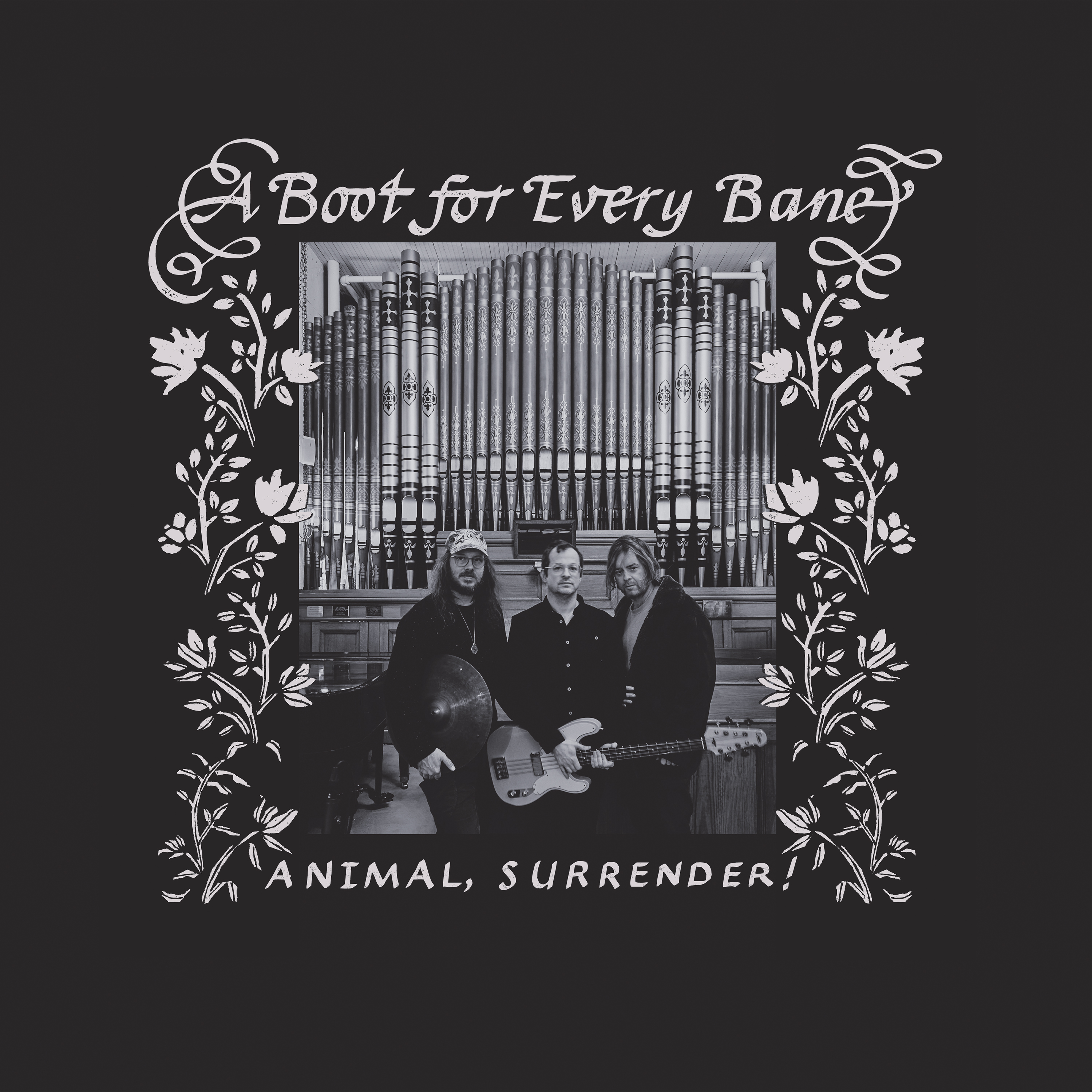 Animal, Surrender! - A Boot For Every Bane