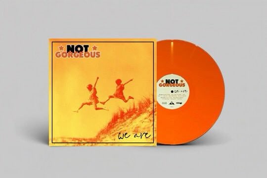 Not Gorgeous 'We Are' LP