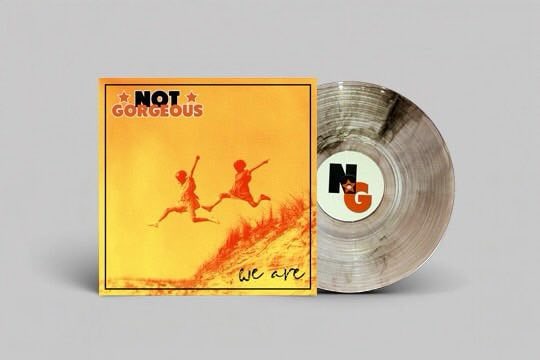 Not Gorgeous 'We Are' LP