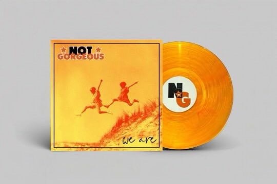 Not Gorgeous 'We Are' LP