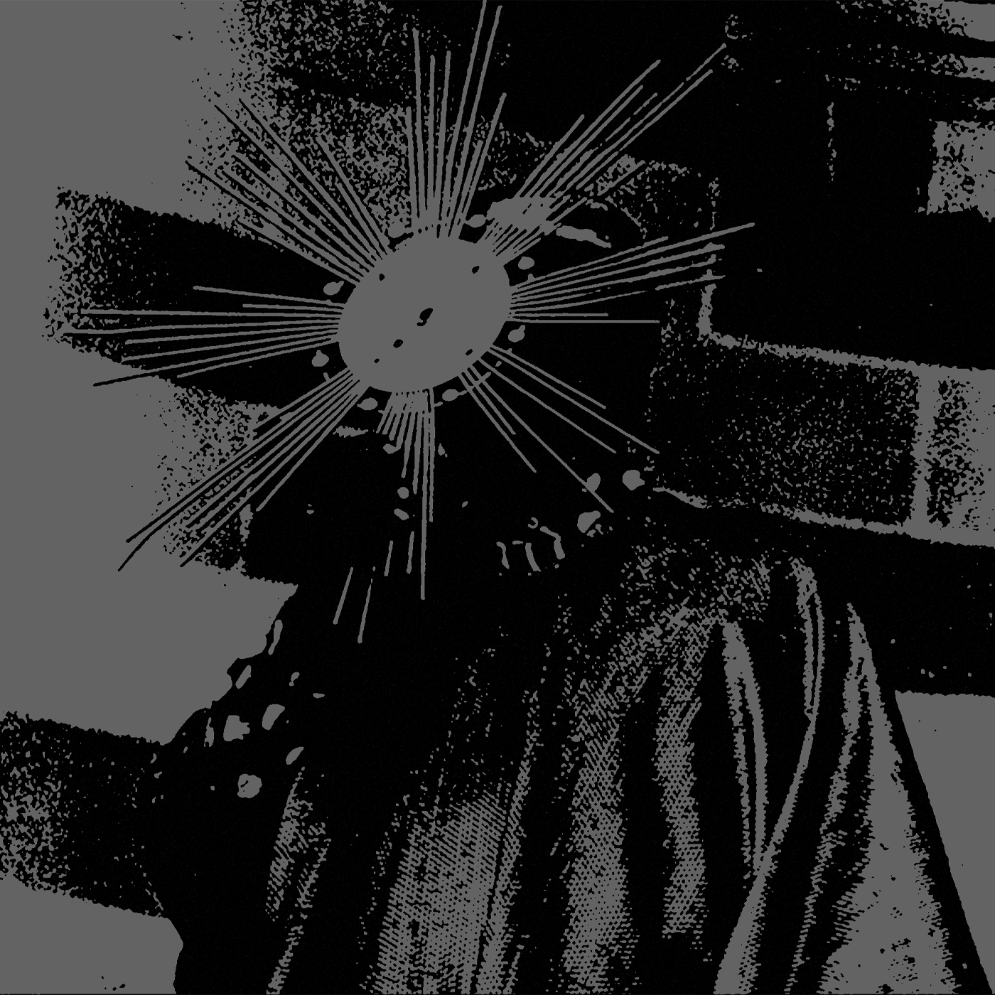 Skingraft II