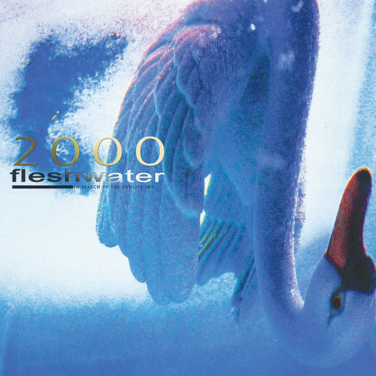Freshwater '2000: In Search Of The Endless Sky' LP