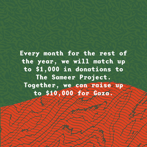 Matching Campaign for The Sameer Project