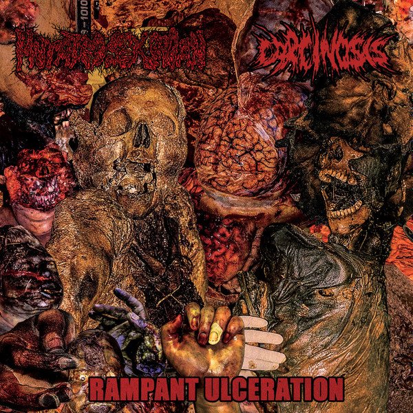 Mutated Sex Organ / Carcinosis - Rampant Ulceration (CD, 2024)