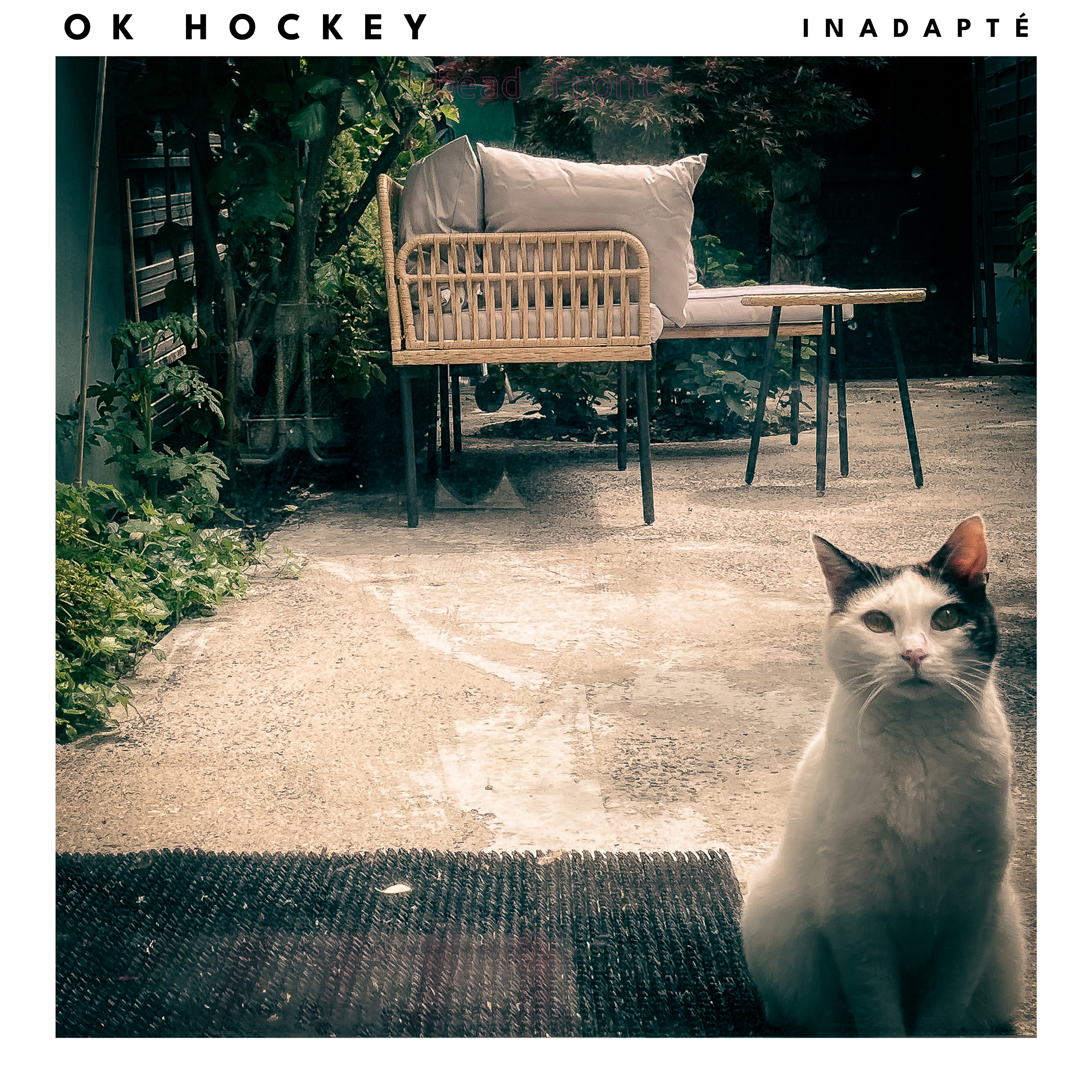 OK Hockey - Inadapté