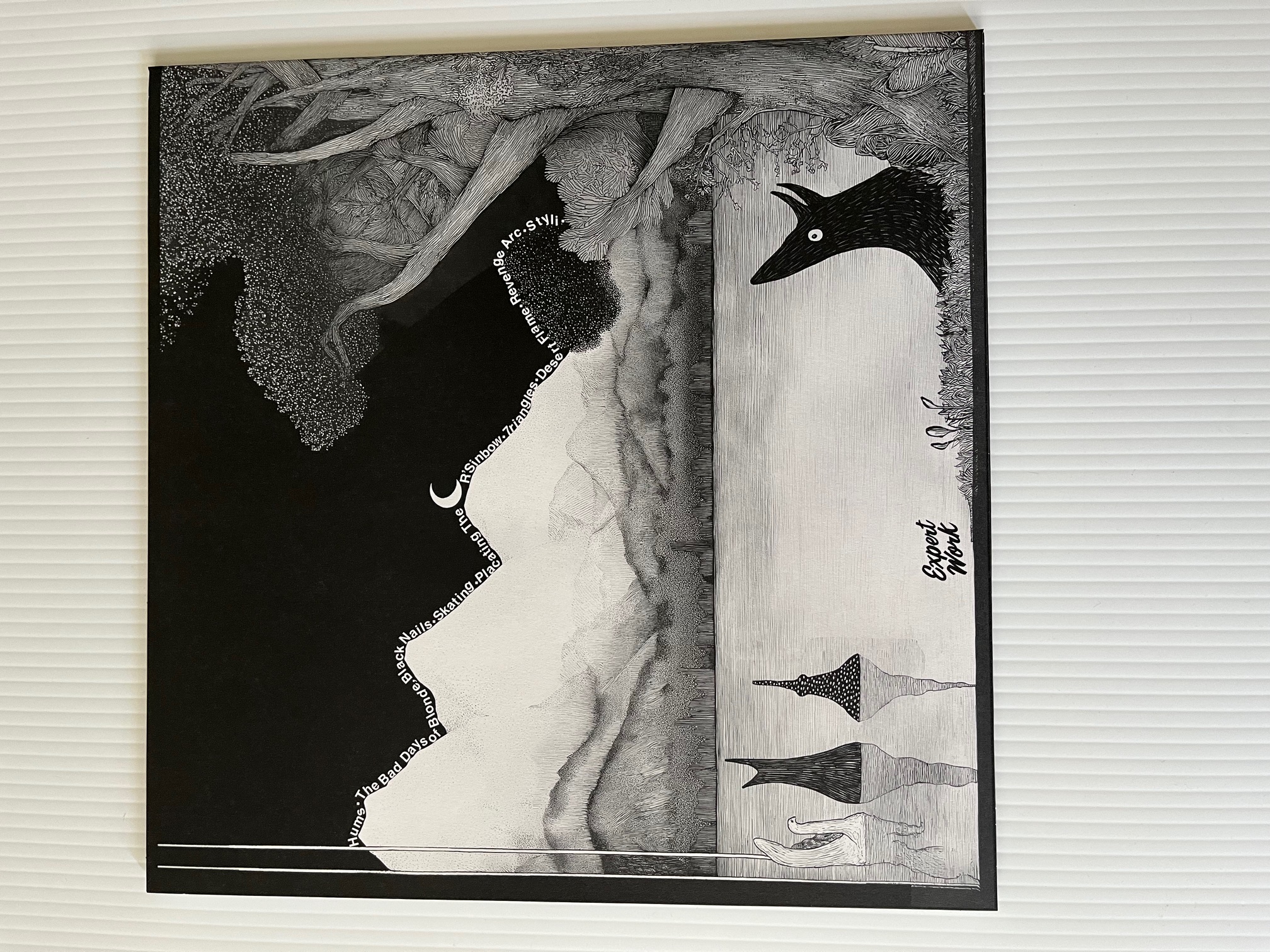 Drill For Absentee- Strand of a Lake, Vol. 1 and Vol. 2