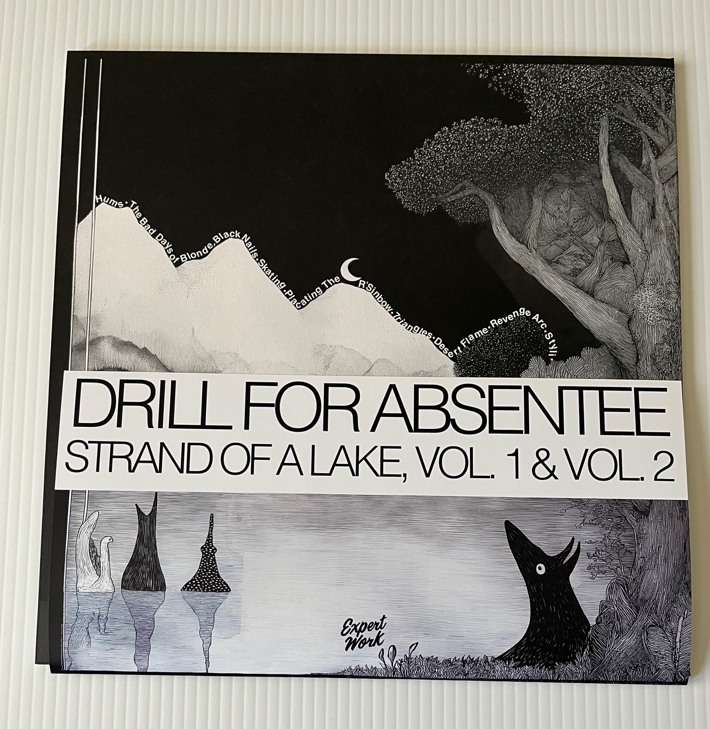 Drill For Absentee- Strand of a Lake, Vol. 1 and Vol. 2