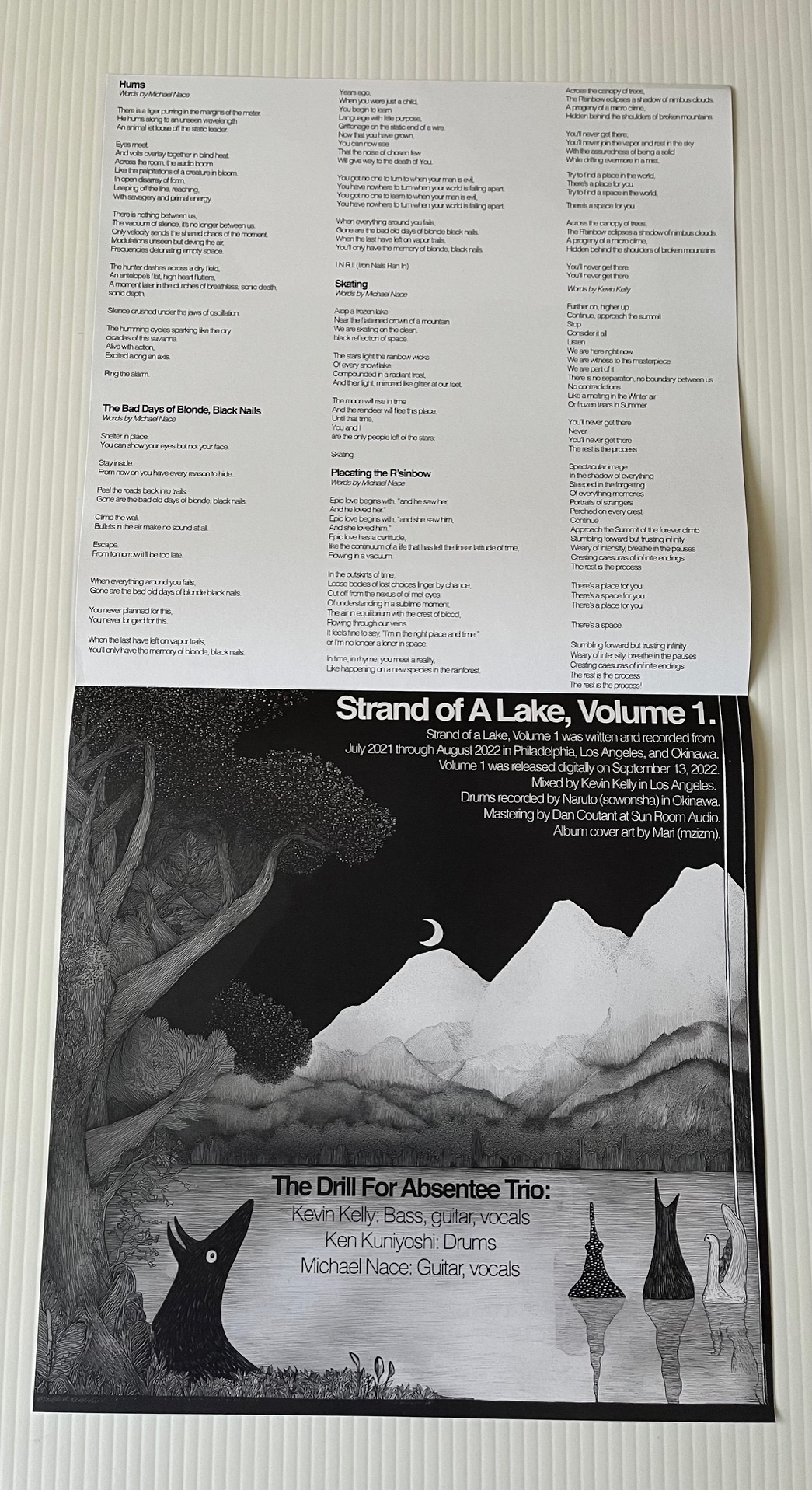 Drill For Absentee- Strand of a Lake, Vol. 1 and Vol. 2