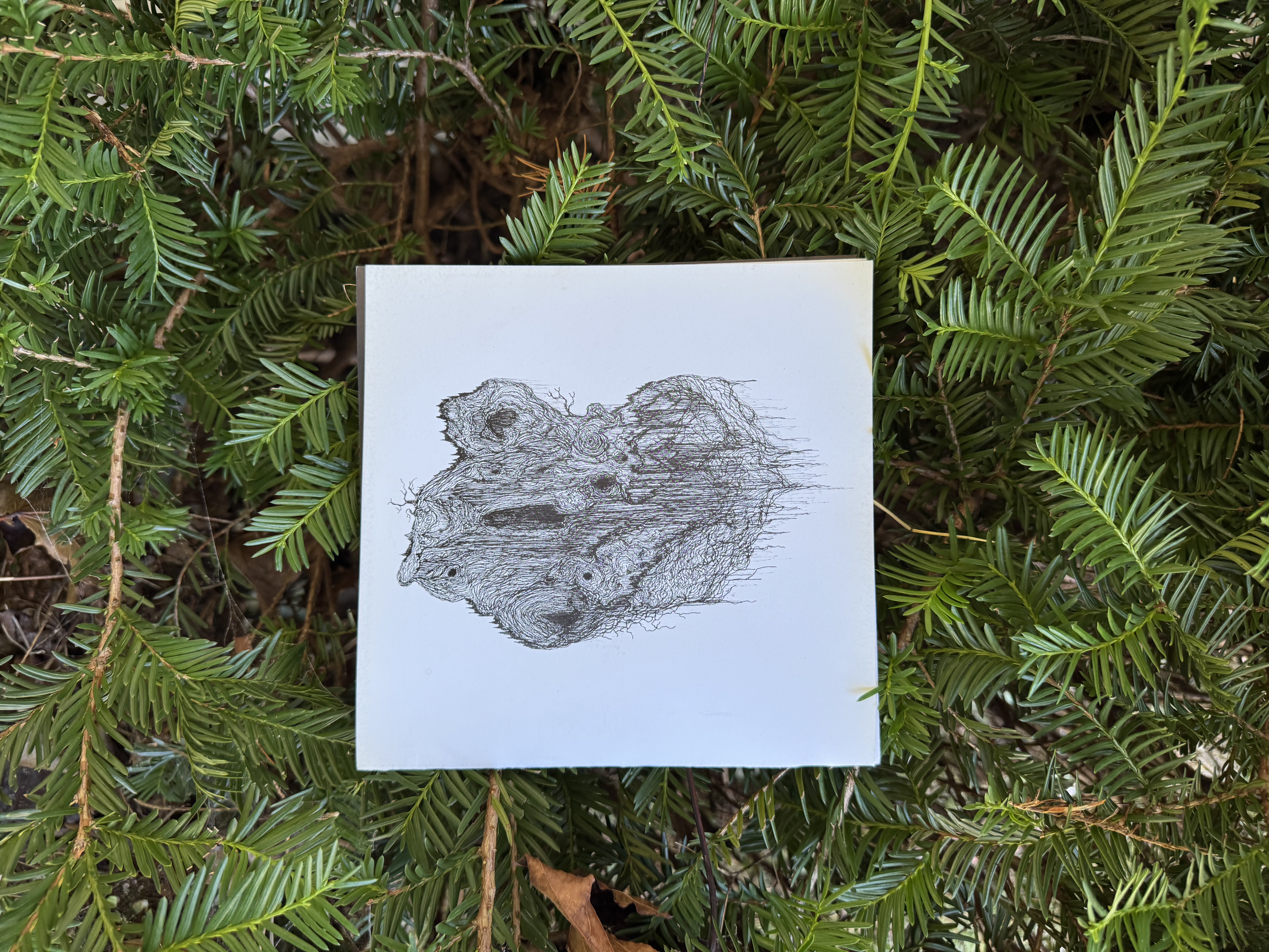 Barbelith untitled 7