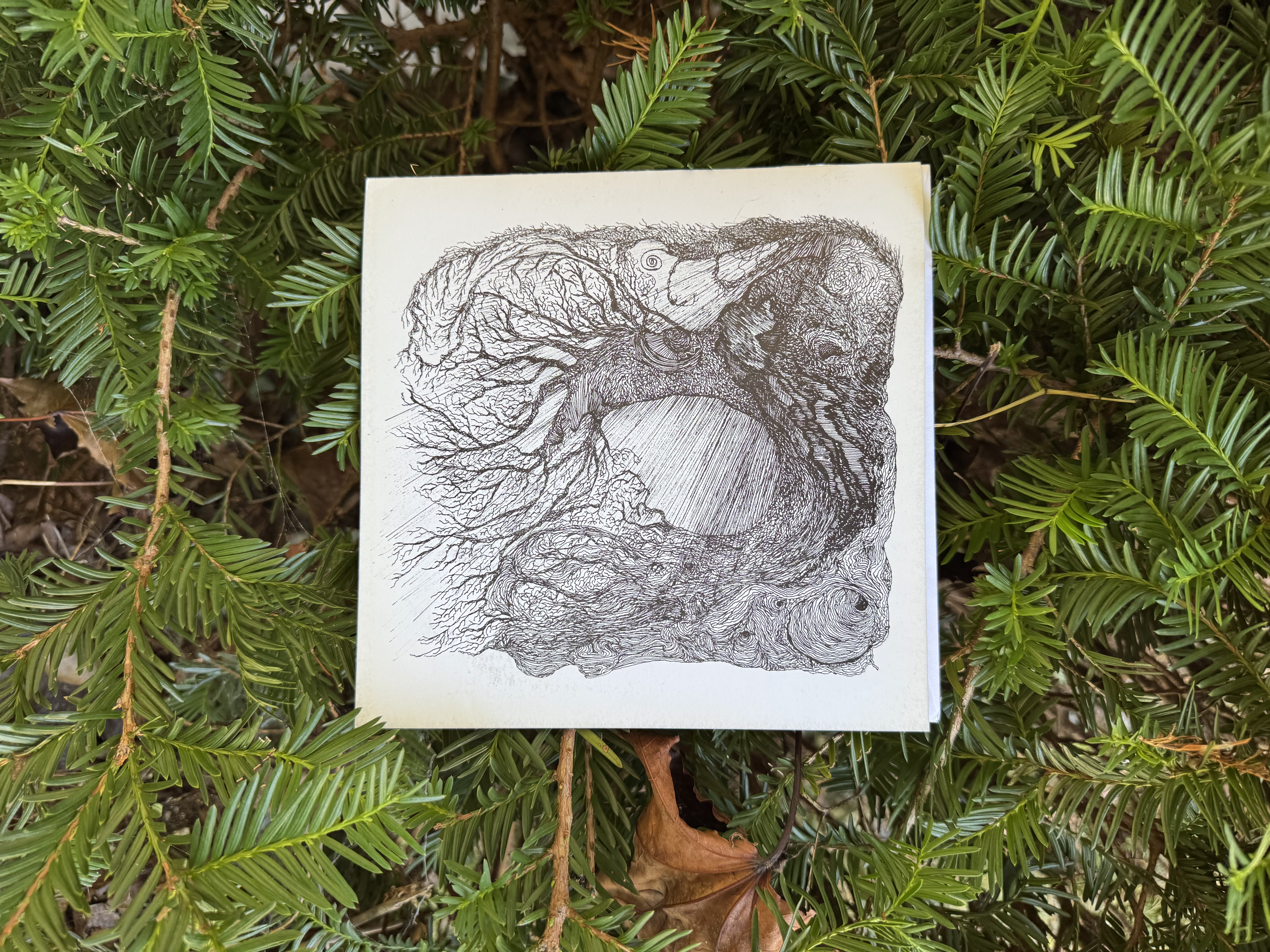 Barbelith untitled 7