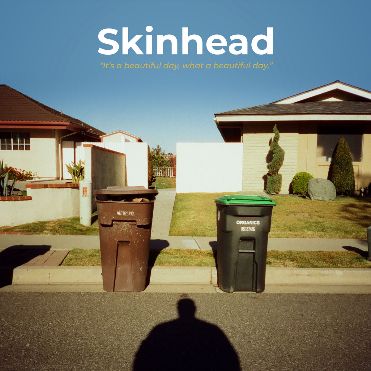 Skinhead 'It's a beautiful day, what a beautiful day' LP