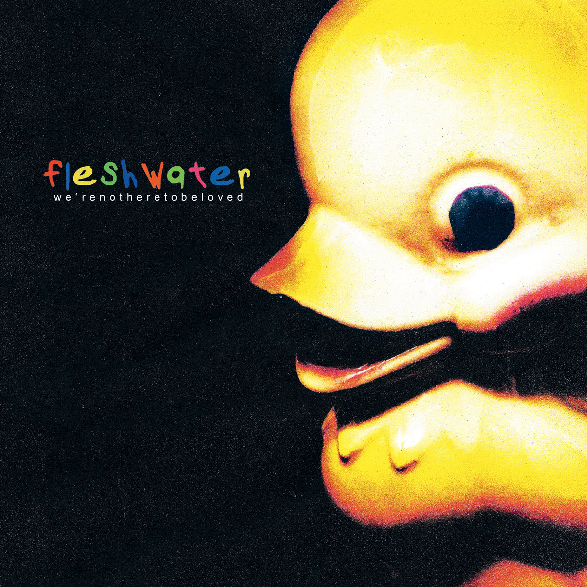 FLESHWATER - WERE NOT HERE TO BE LOVED