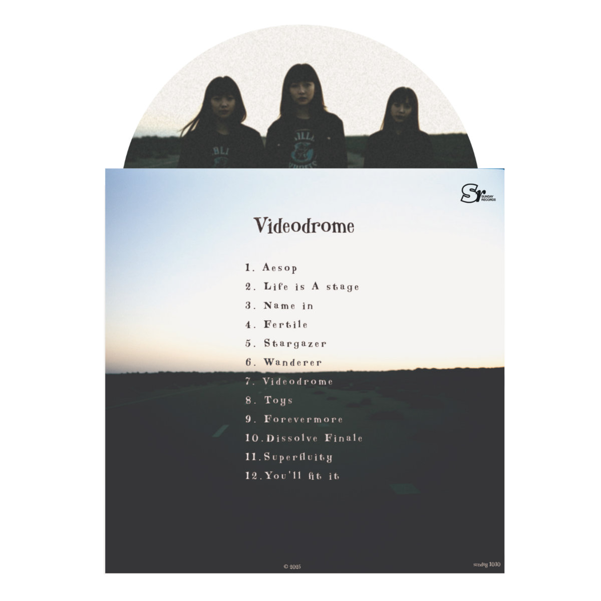 Pre-Order - The Wulongs - Videodrome