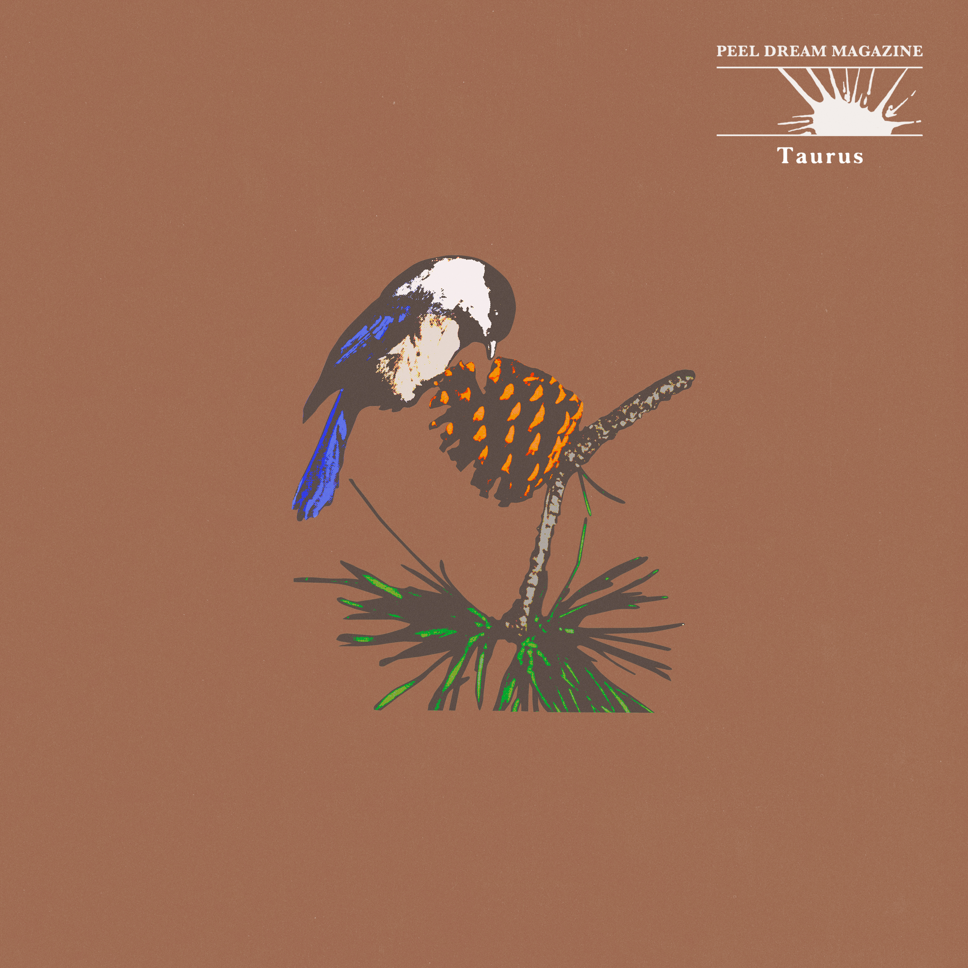 Product shots of Peel Dream Magazine - Taurus