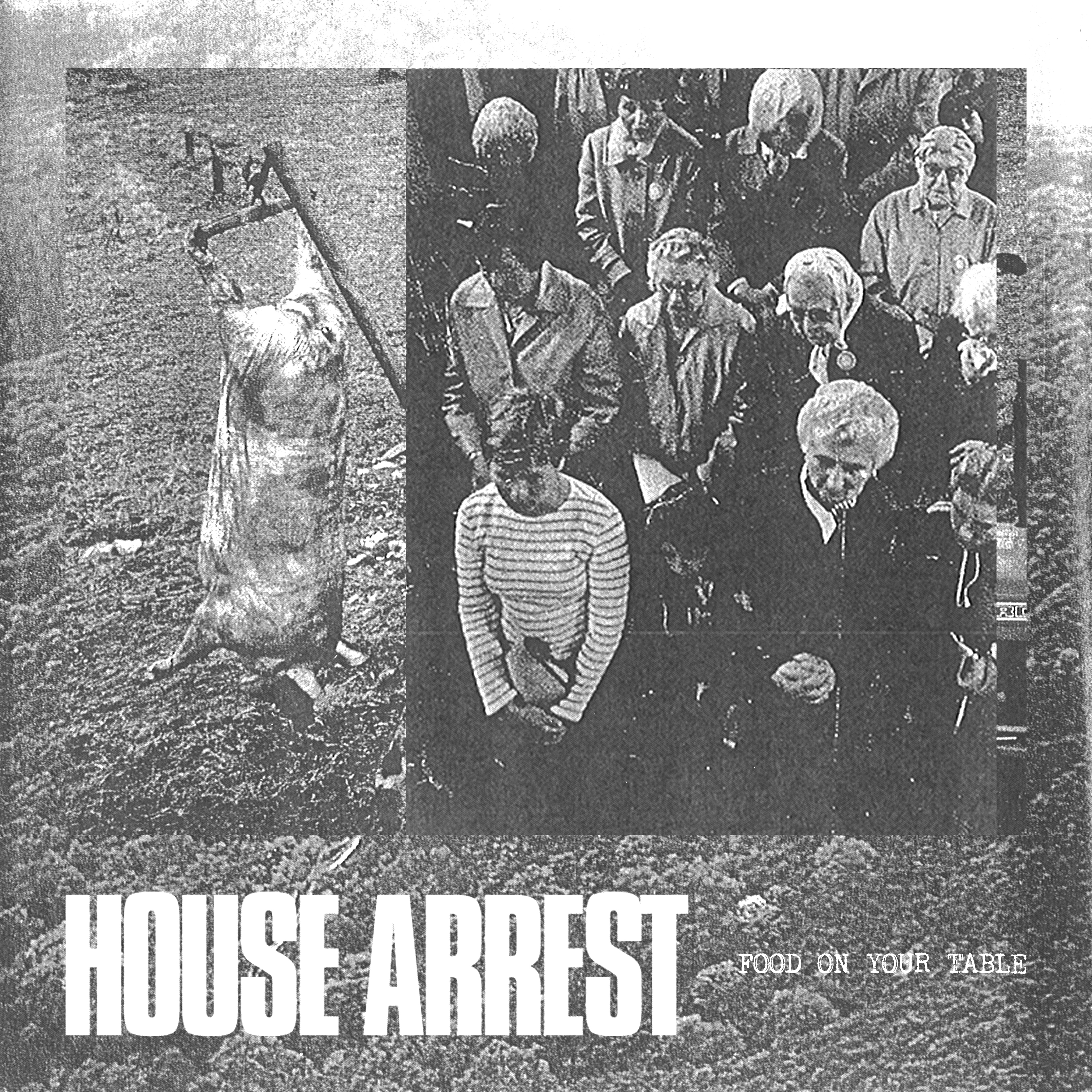 House Arrest 