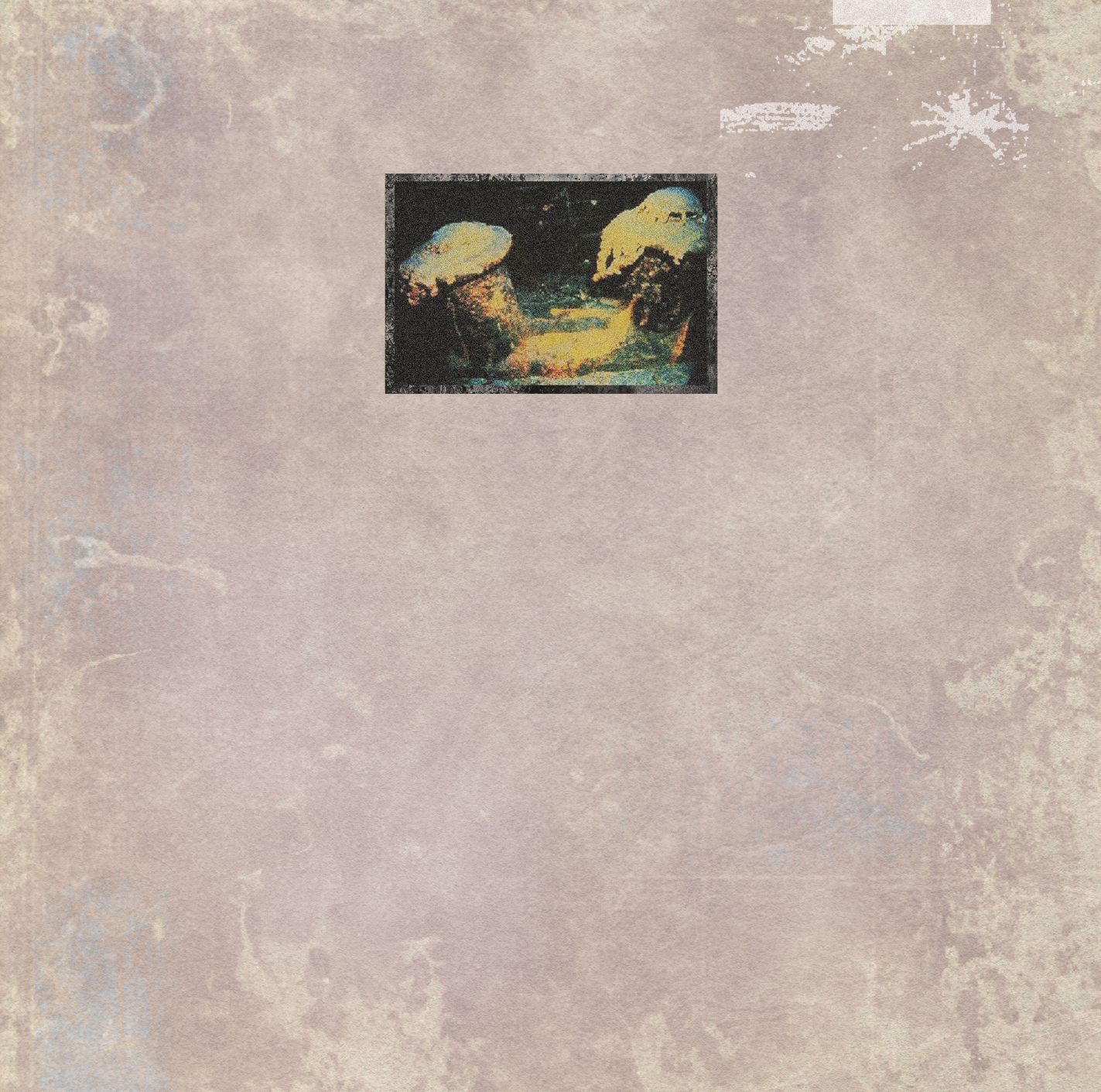 UNDER THE AGE OF CONSENT / SHE KILLED IN ECSTASY