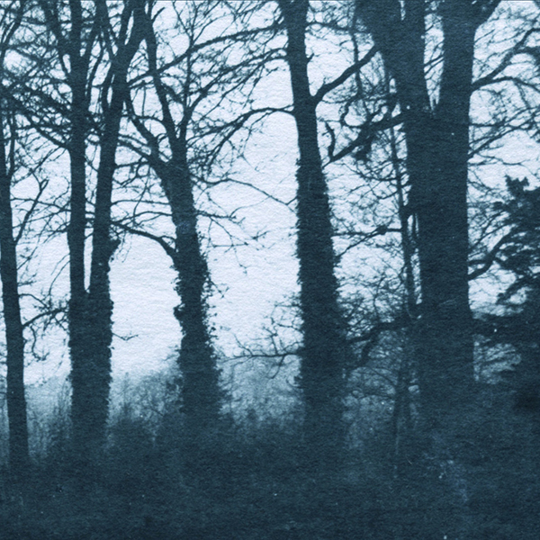 DVORAC - Dreaming Is A New Awakening