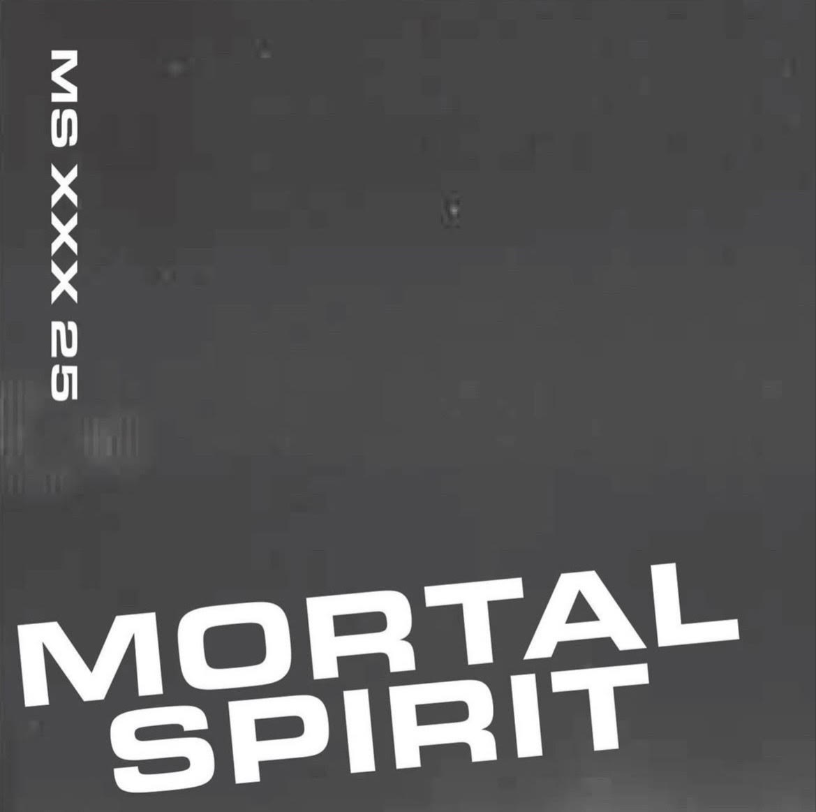 Mortal Spirit - XXX 25