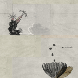 Tape - Milieu Plus 2LP