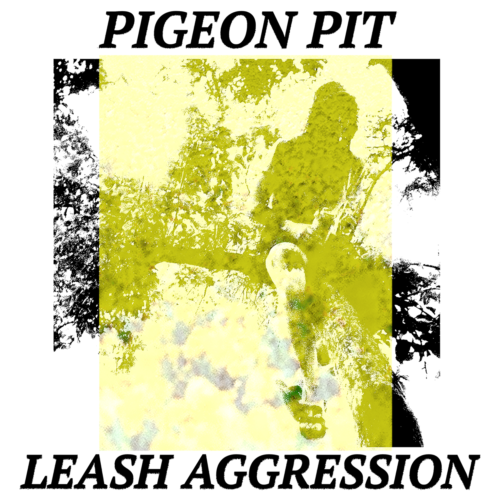 Pigeon Pit - Leash Aggression