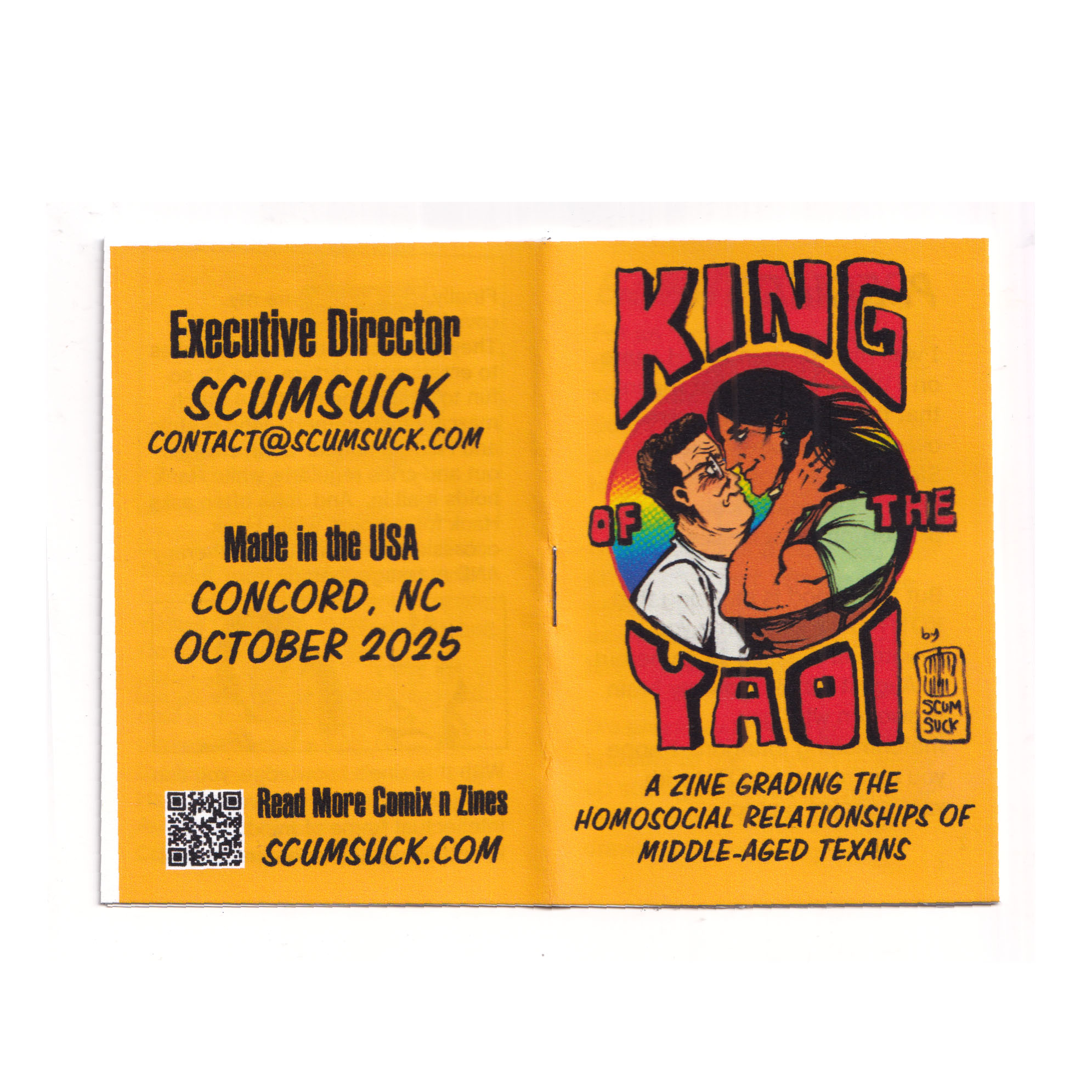 Mini Zine: King of the Yaoi