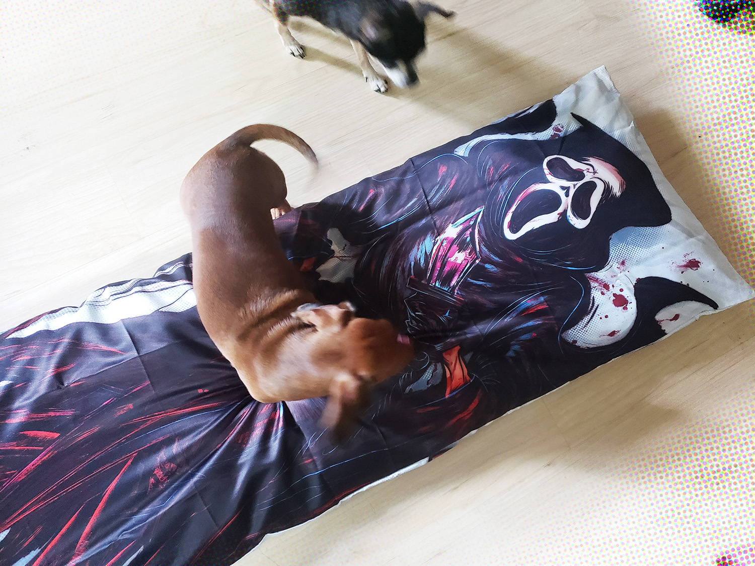 Pillow: Ghost Killer Billy Loomis