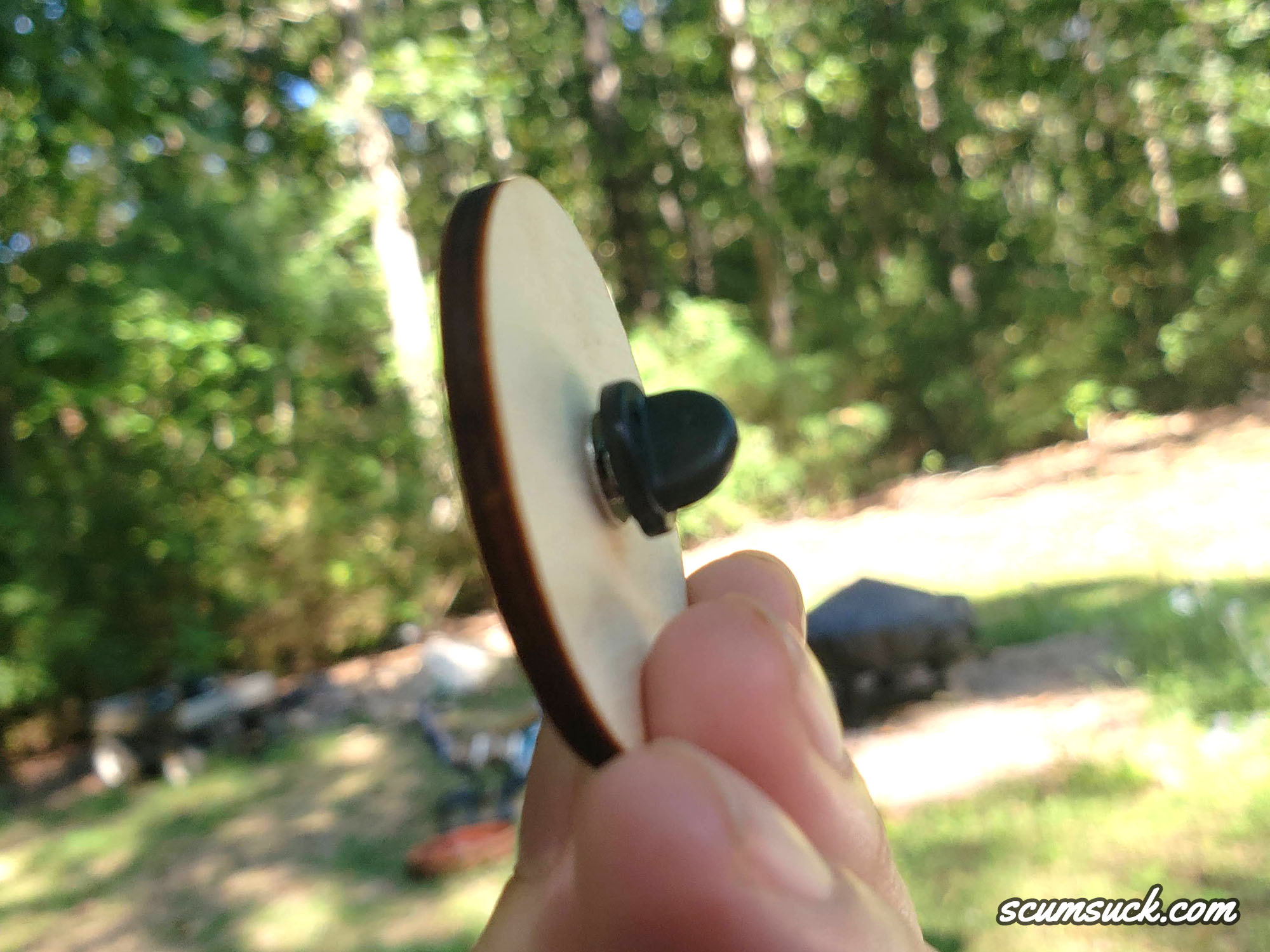 Pins (wood): Dachshund Foods