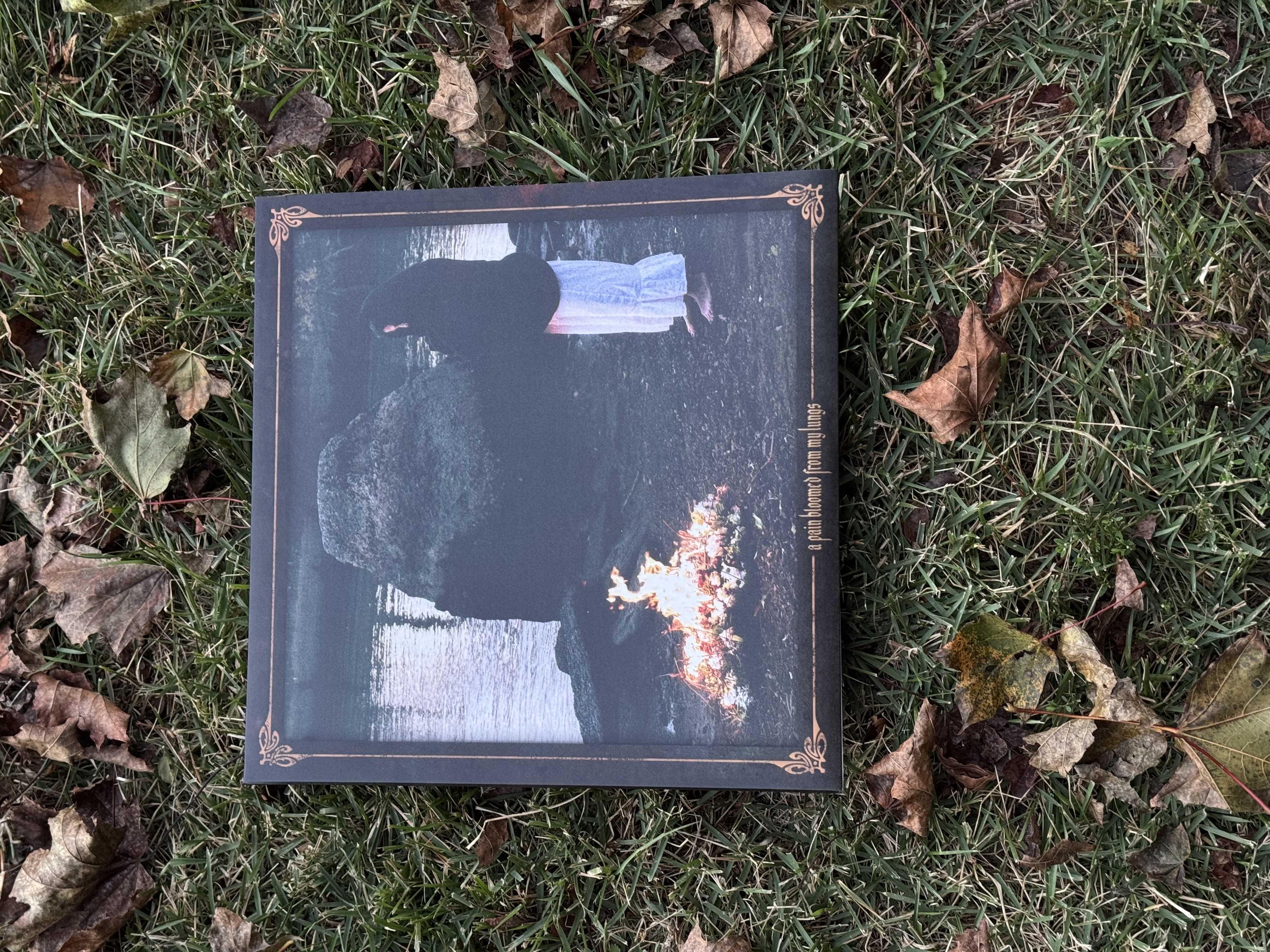 Lastima / a pain bloomed from my lungs LP