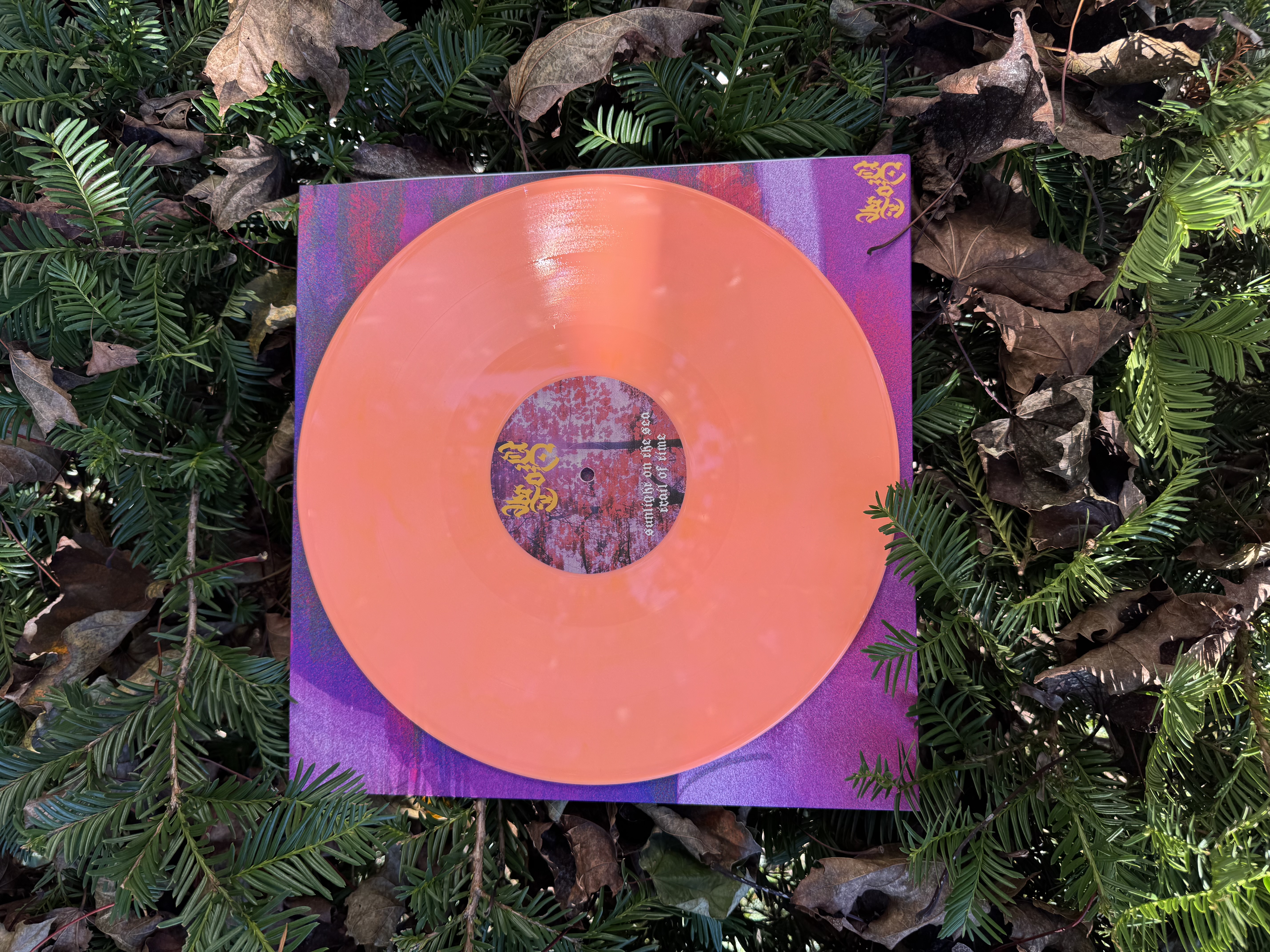 Abriction / so far away in time LP