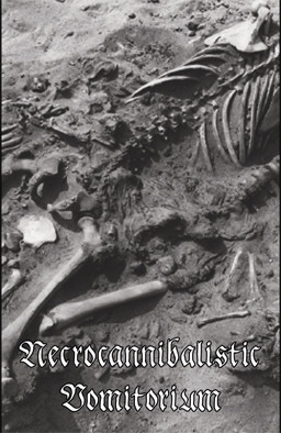 Ulcer / Necrocannibalistic Vomitorium - split (cs, 2020)