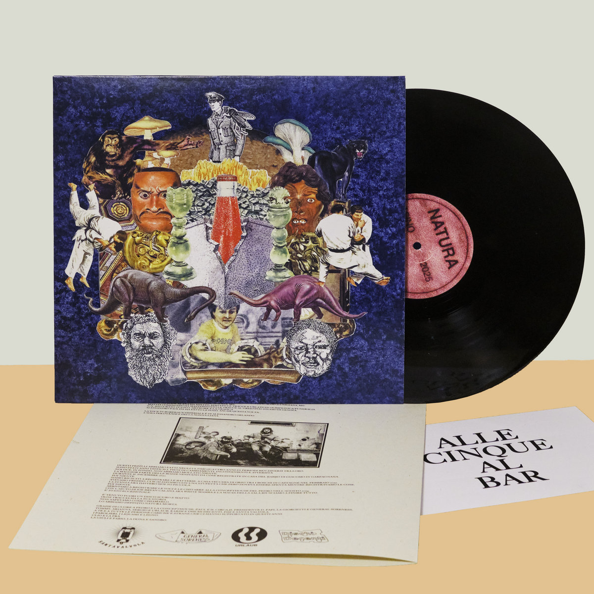 Asino - Natura/Morta LP