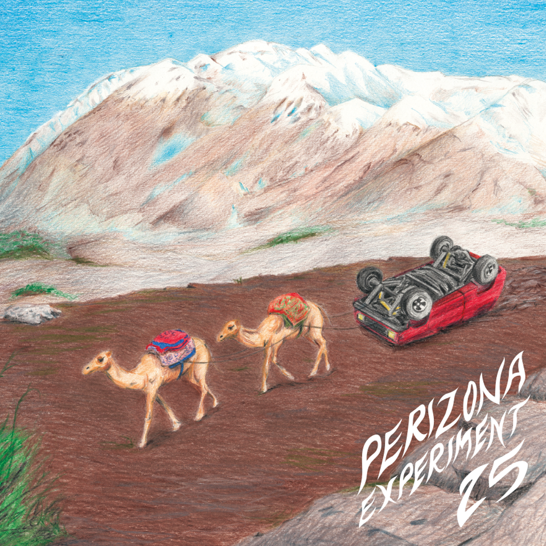 PERIZONA EXPERIMENT - 25 LP