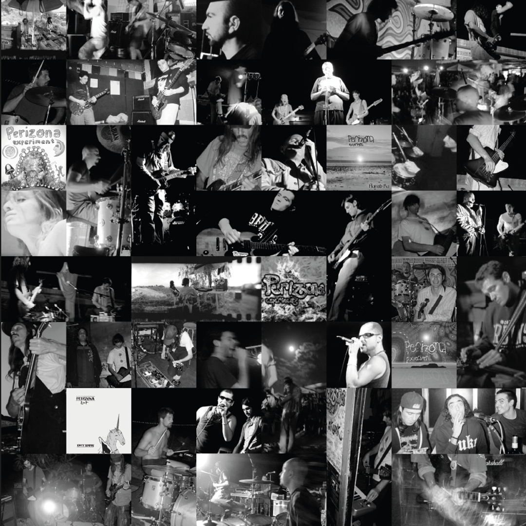 PERIZONA EXPERIMENT - 25 LP