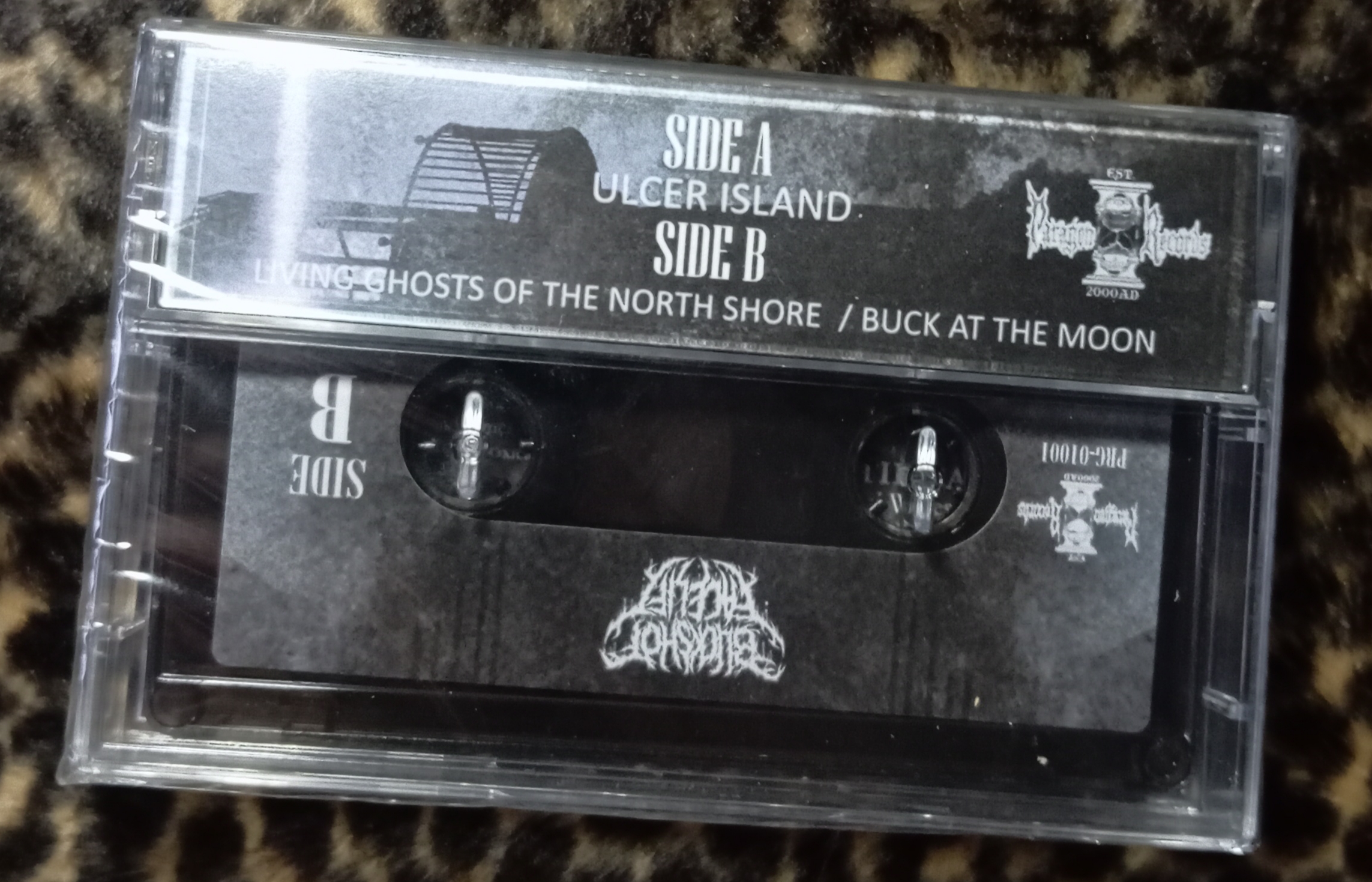 Buckshot Facelift - Ulcer Island (cs, comp)