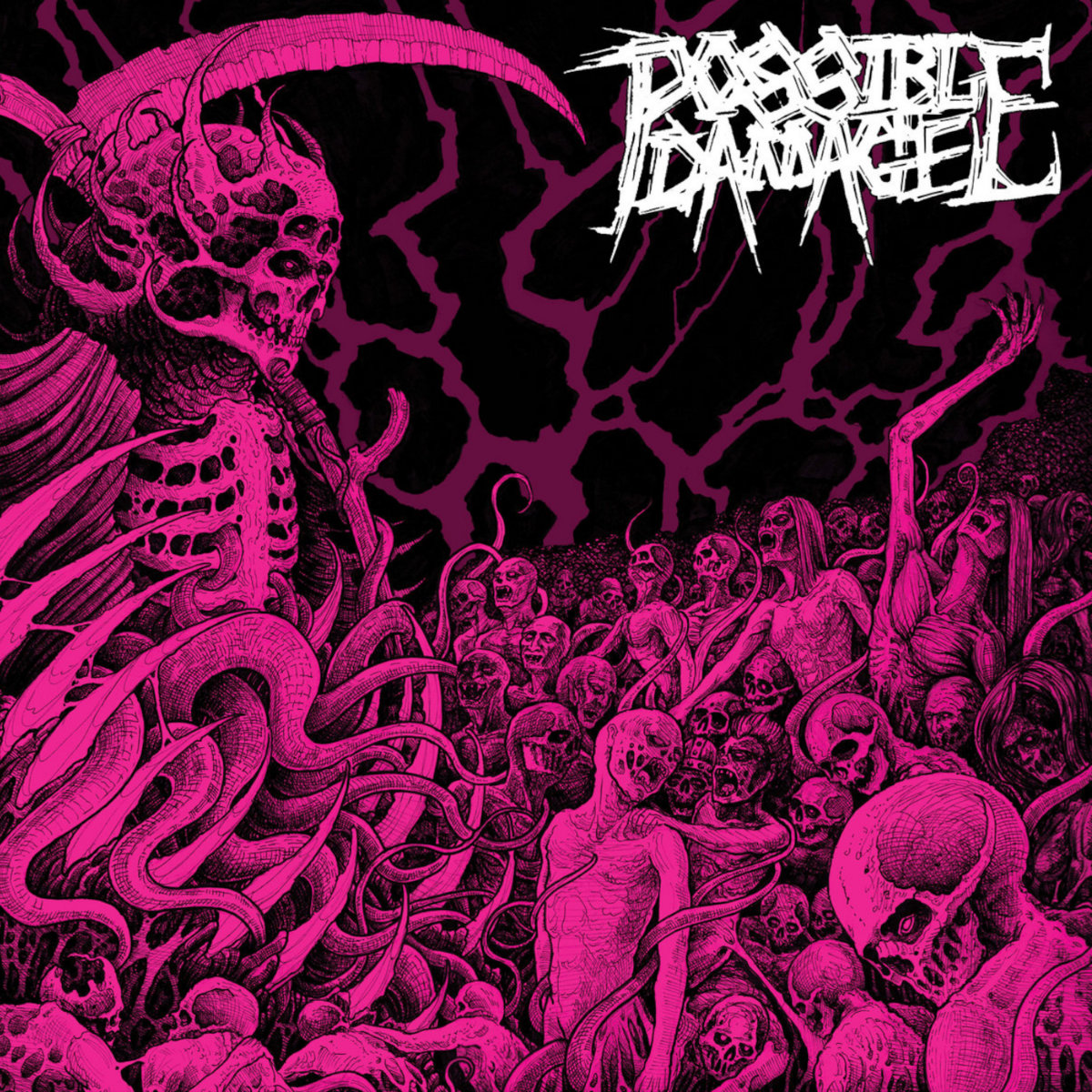 POSSIBLE DAMAGE - s/t LP